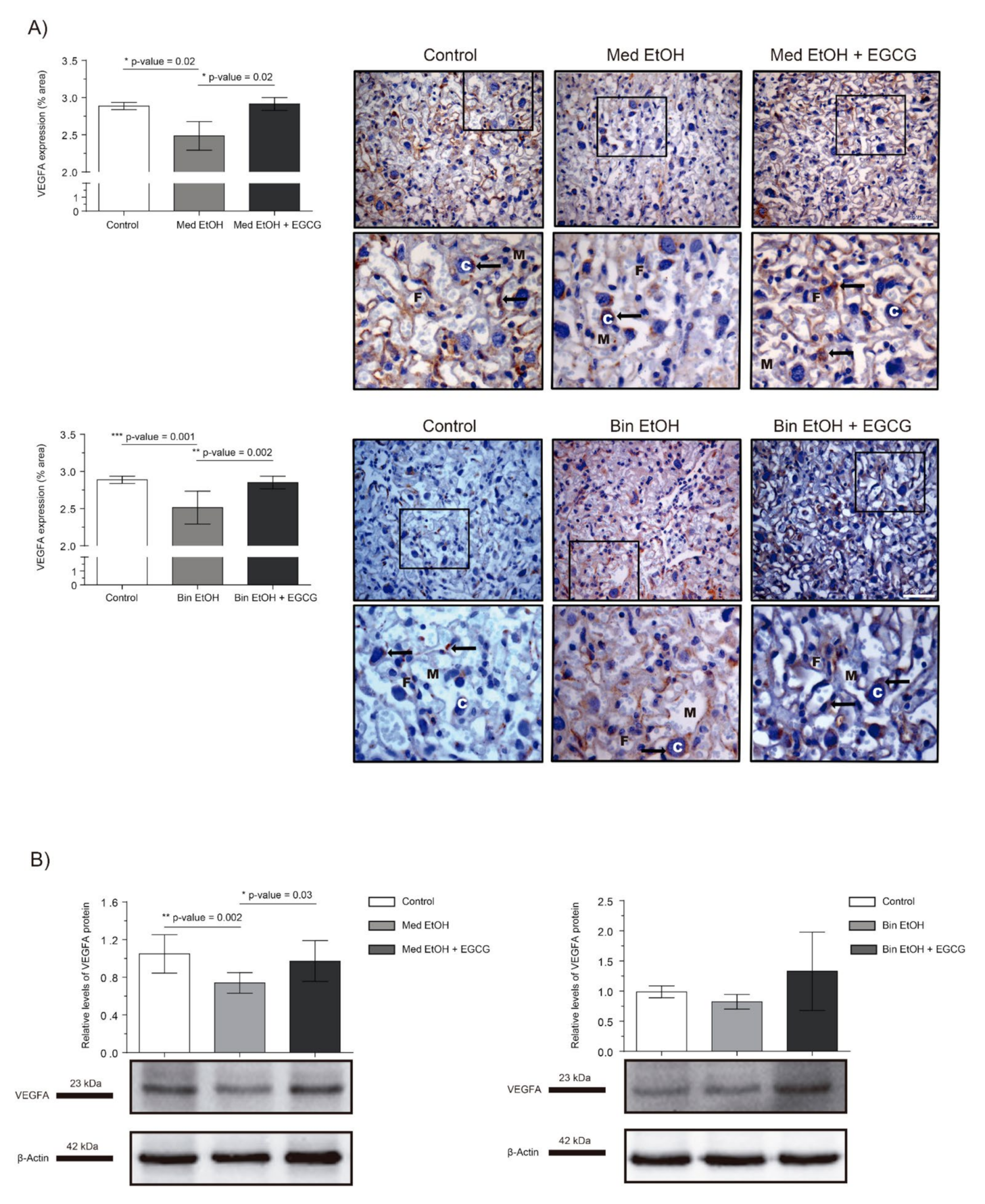 Ijms 22 00715 g002 Ijms 22 00715 g002