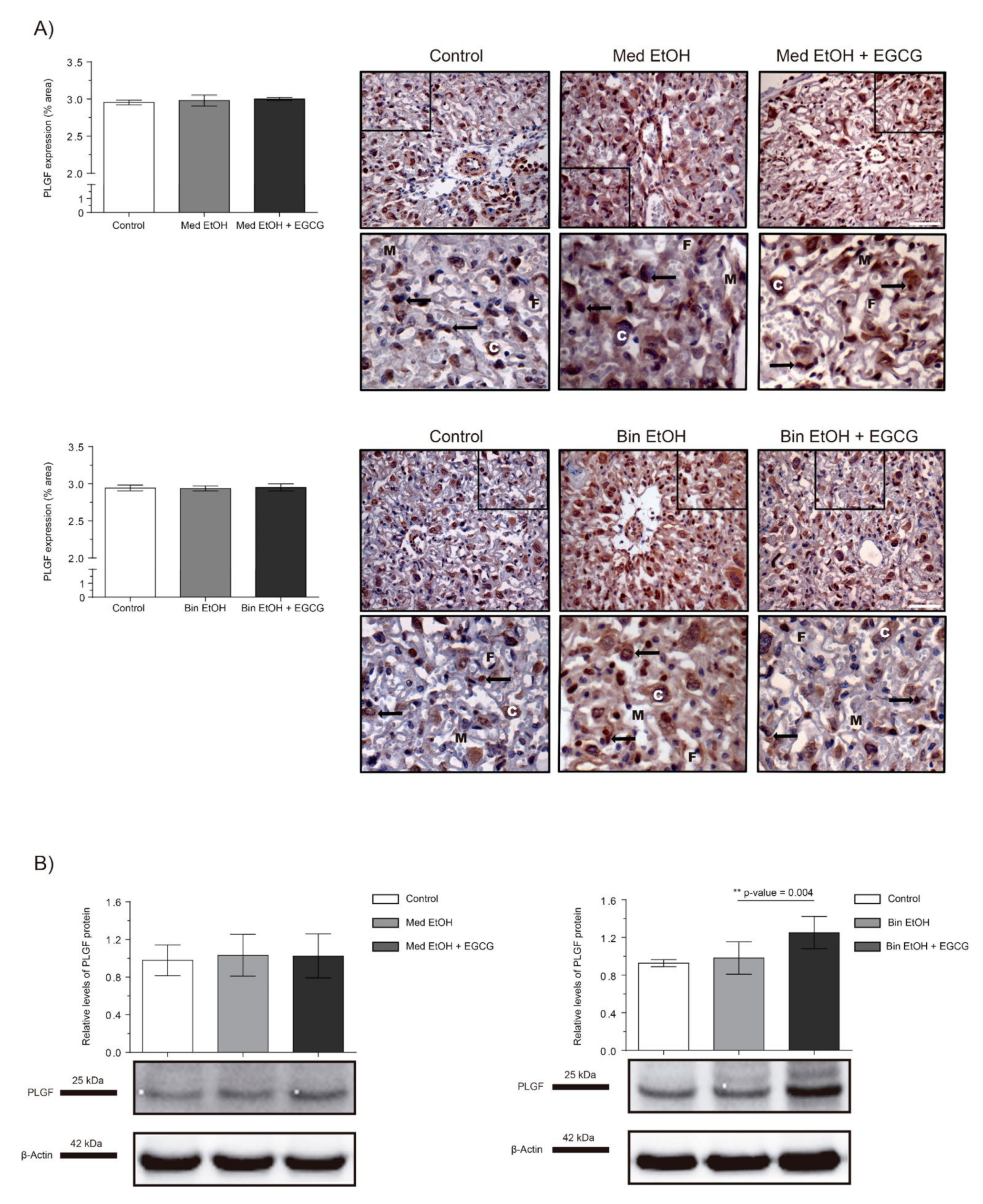Ijms 22 00715 g003 Ijms 22 00715 g003