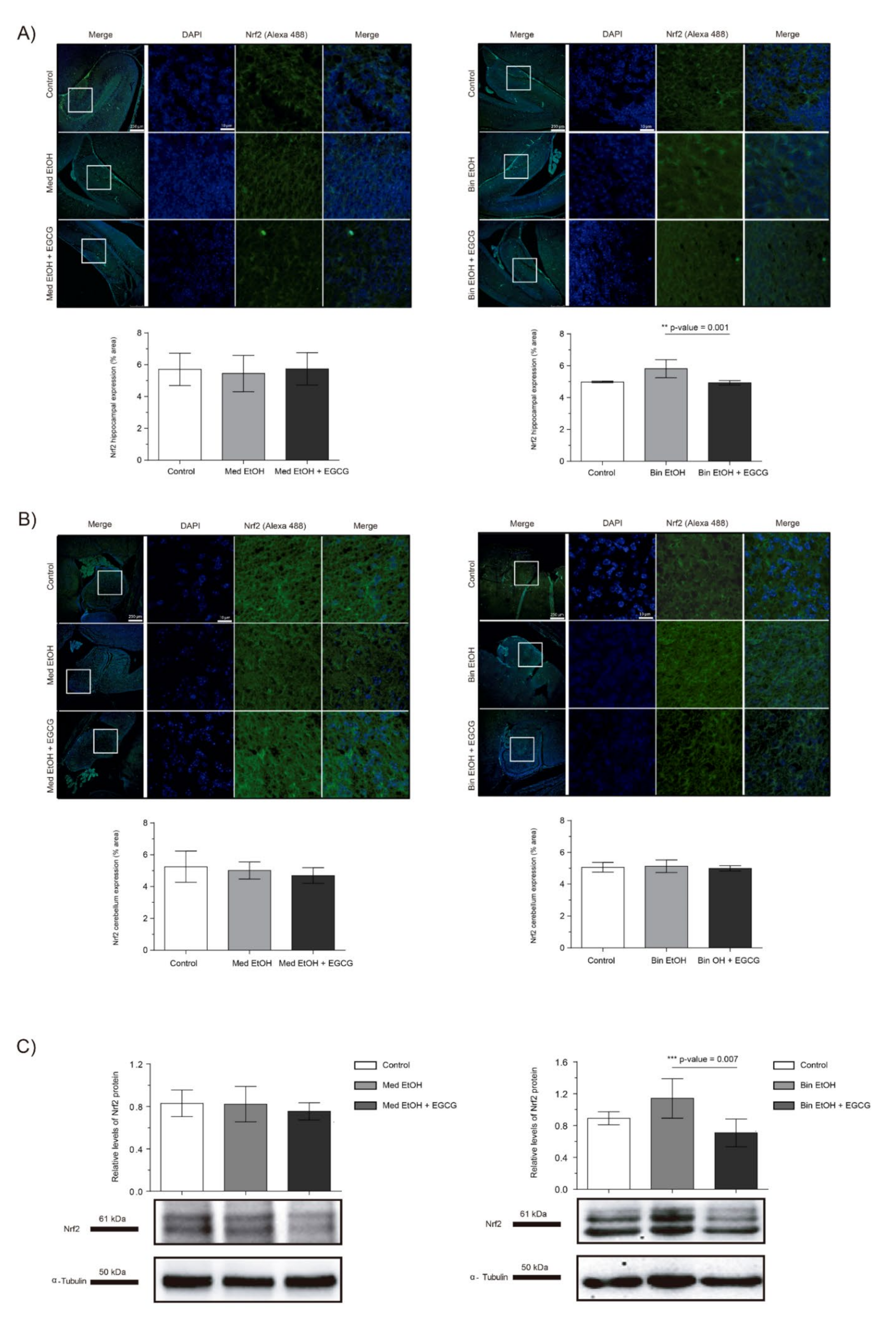 Ijms 22 00715 g005 Ijms 22 00715 g005