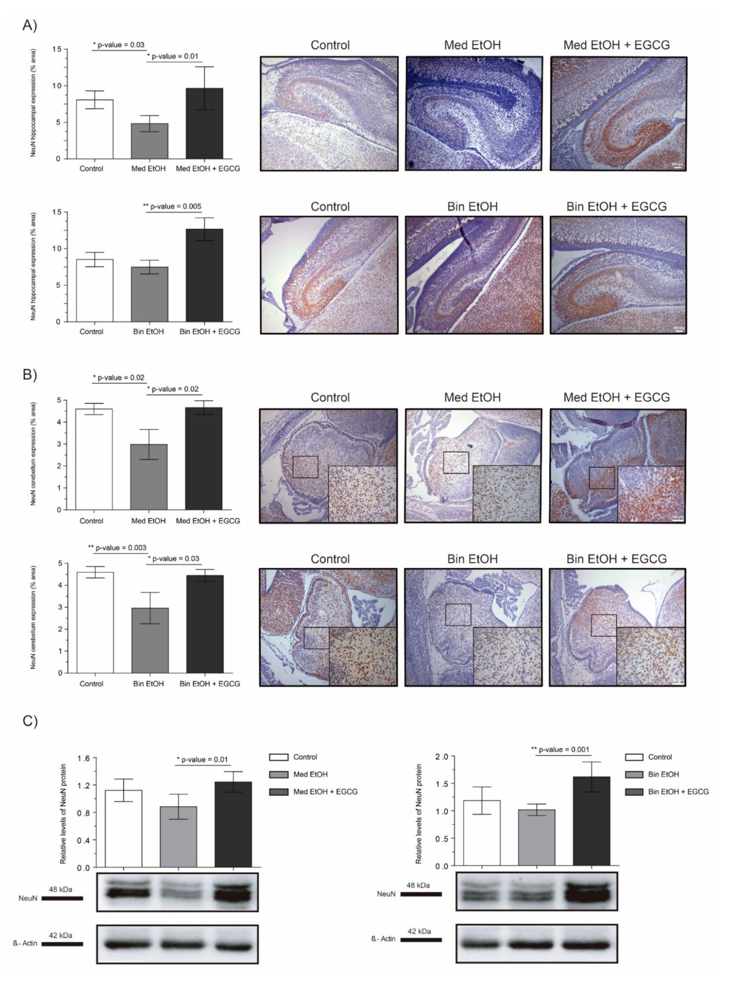 Ijms 22 00715 g006 Ijms 22 00715 g006