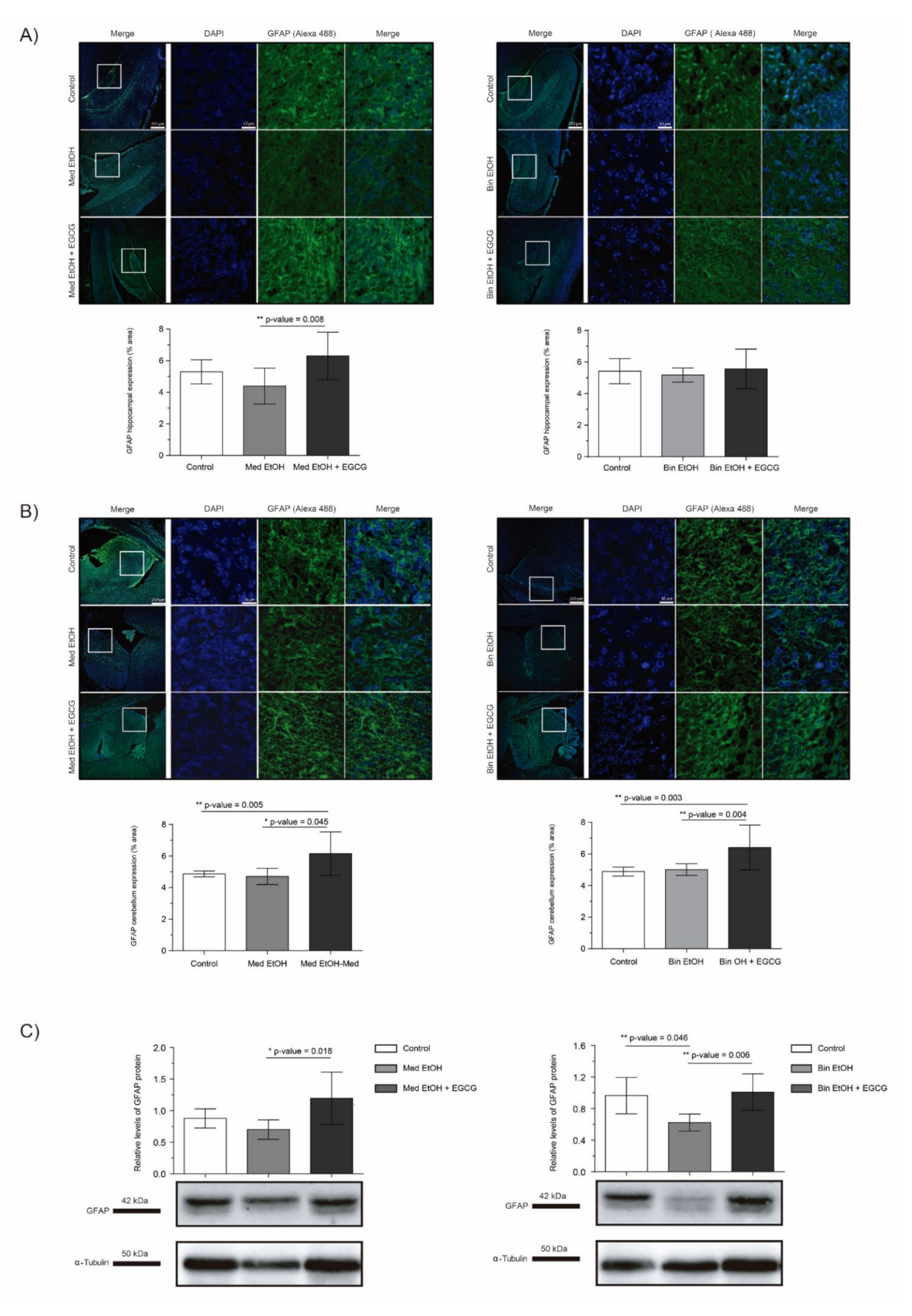 Ijms 22 00715 g008 Ijms 22 00715 g008