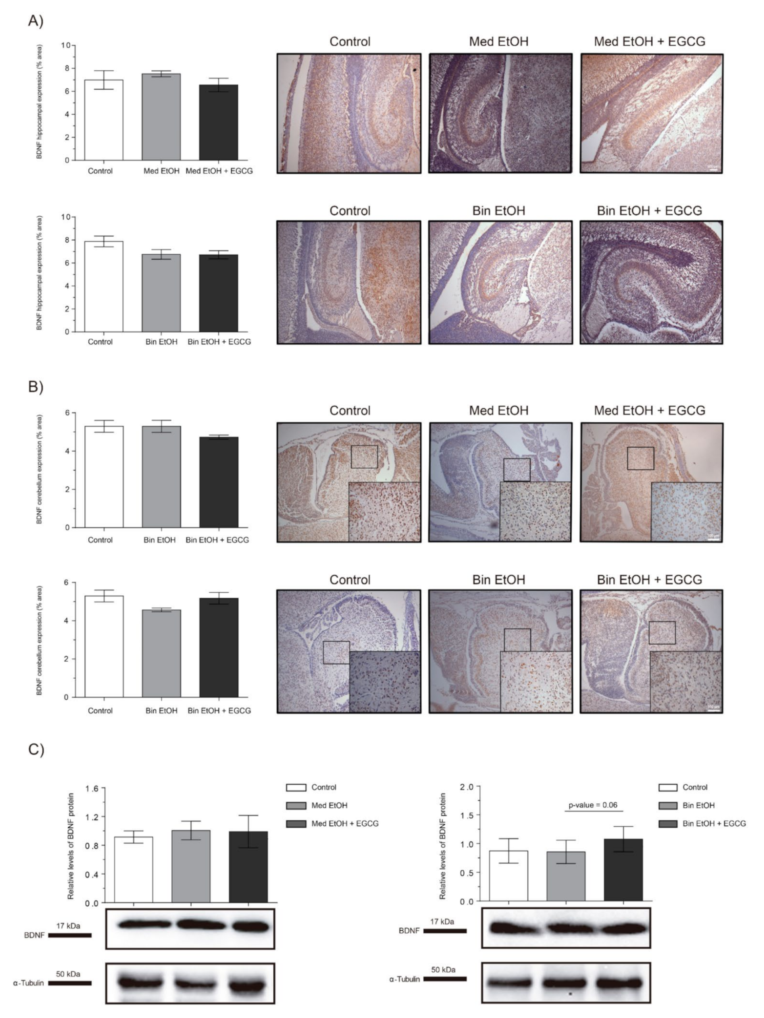Ijms 22 00715 g009 Ijms 22 00715 g009