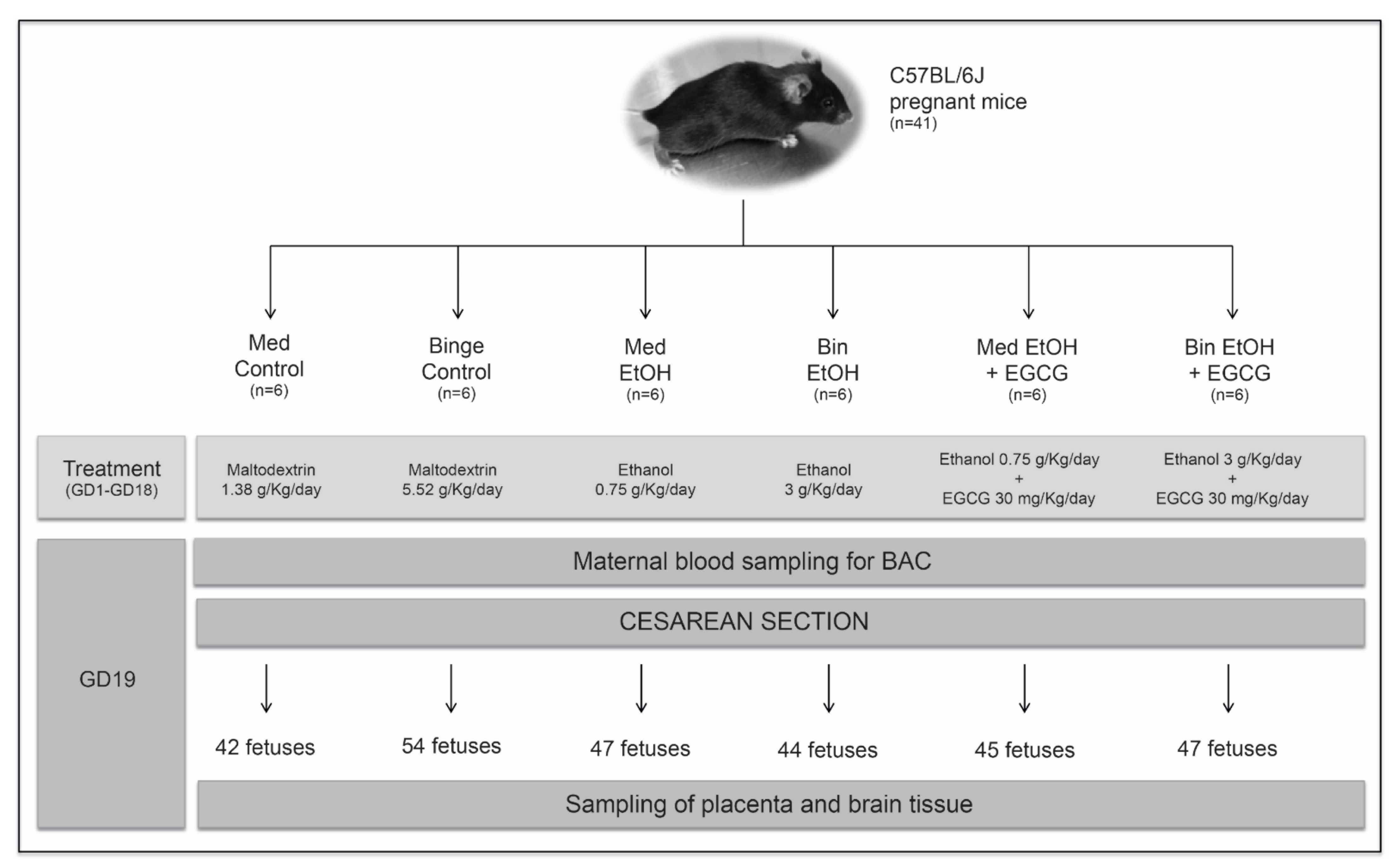 Ijms 22 00715 g010 Ijms 22 00715 g010