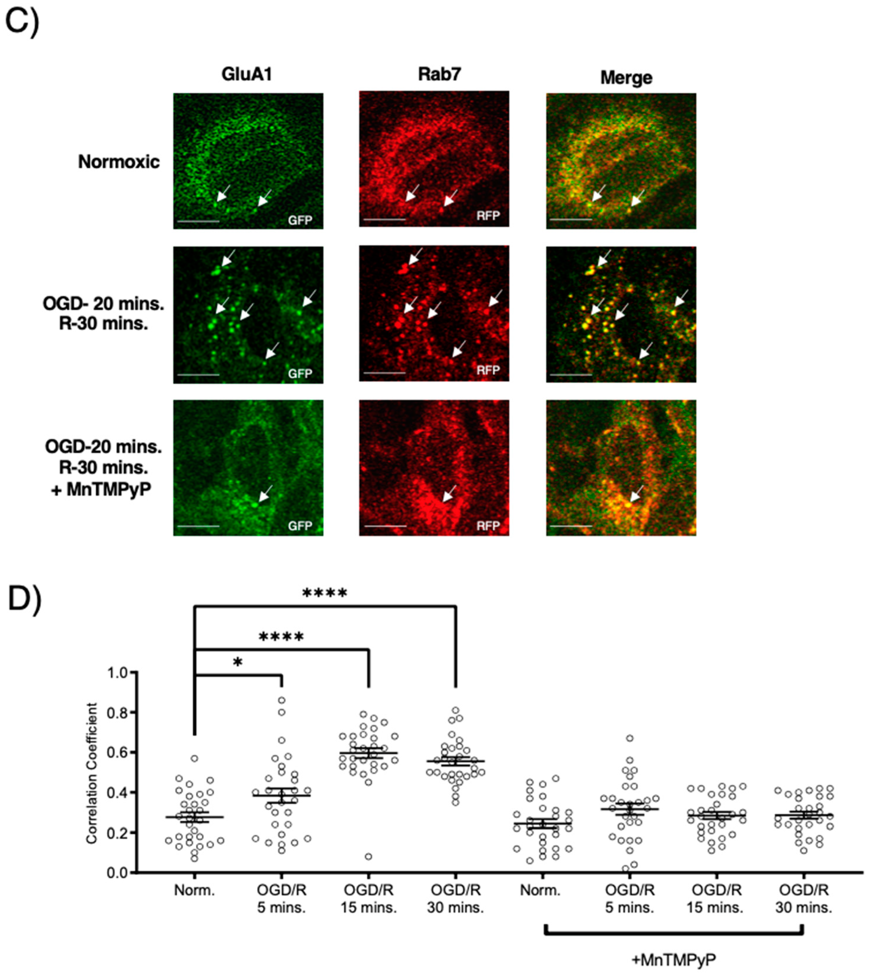Ijms 22 00717 g005b Ijms 22 00717 g005b