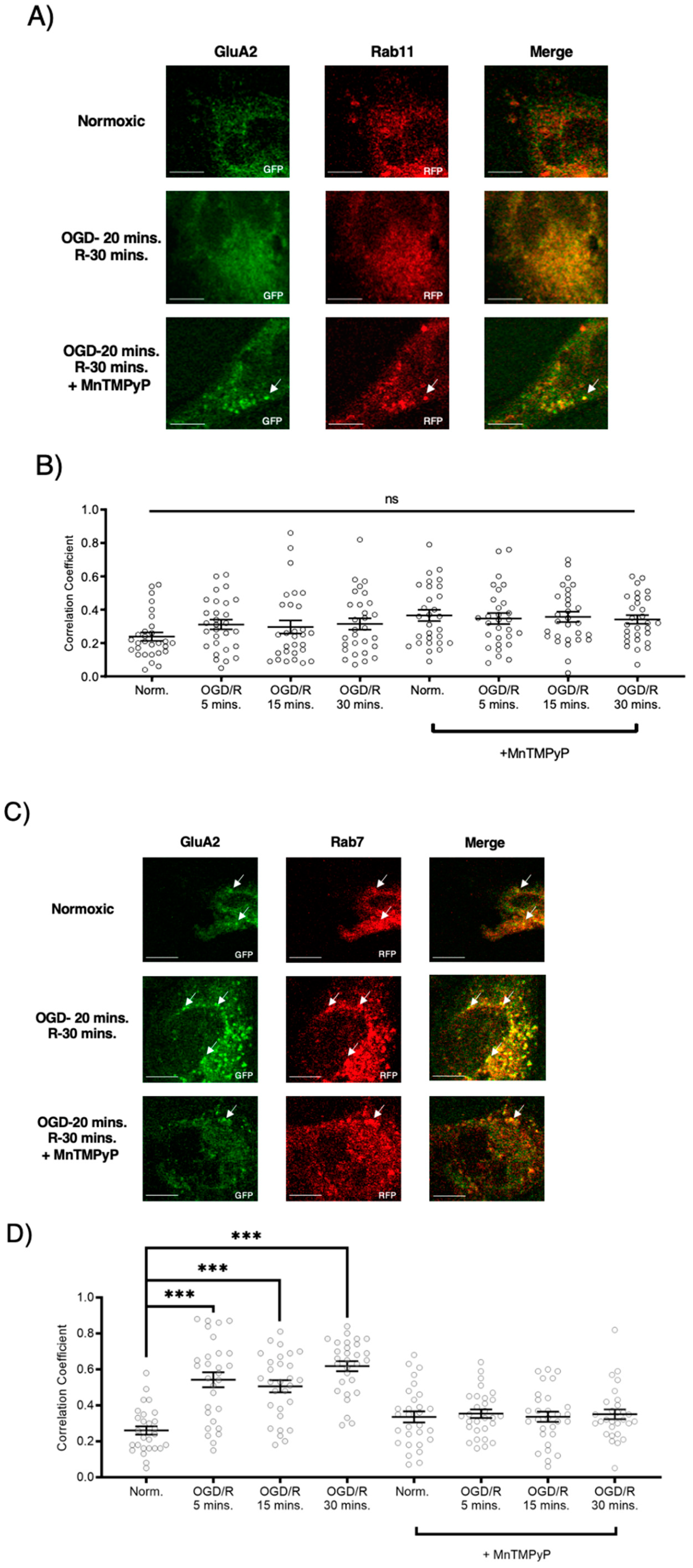 Ijms 22 00717 g006 Ijms 22 00717 g006