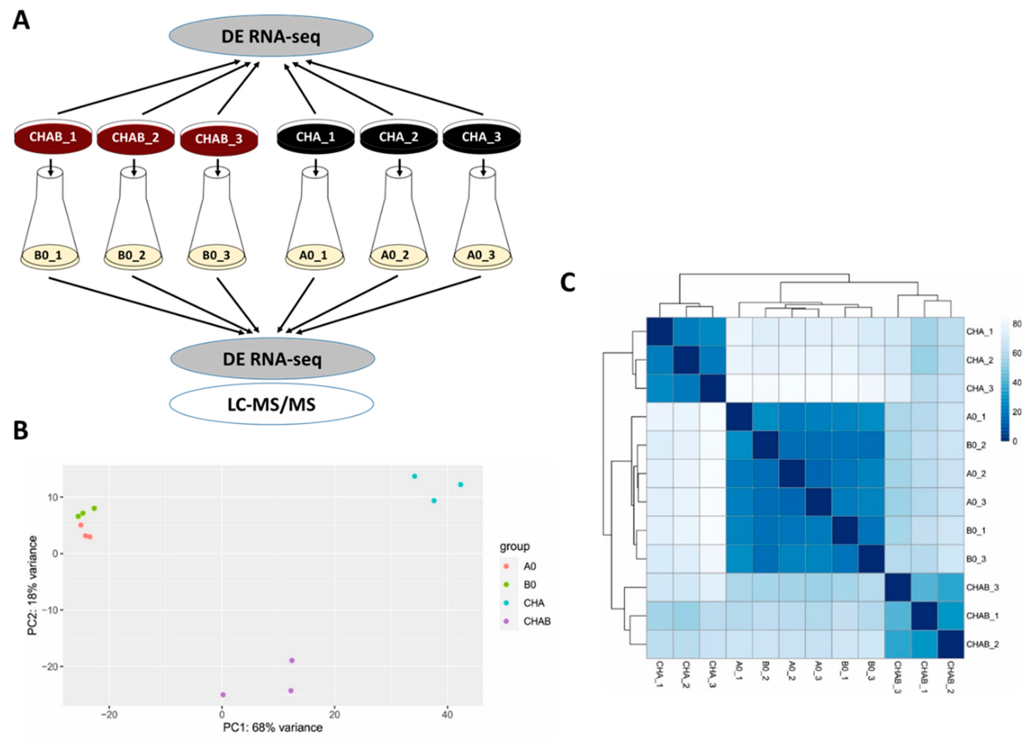Ijms 22 00736 g002 Ijms 22 00736 g002