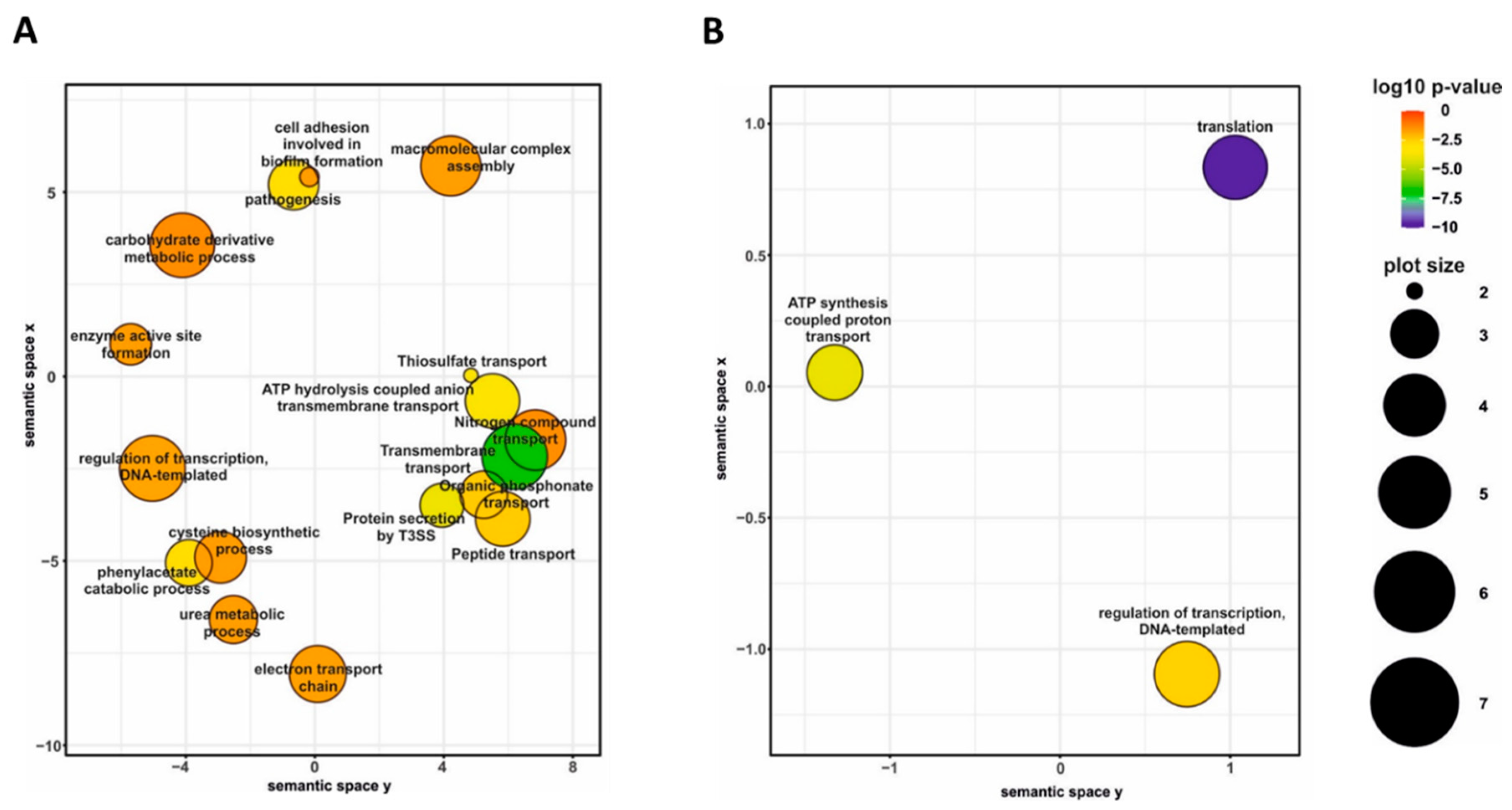 Ijms 22 00736 g003 Ijms 22 00736 g003