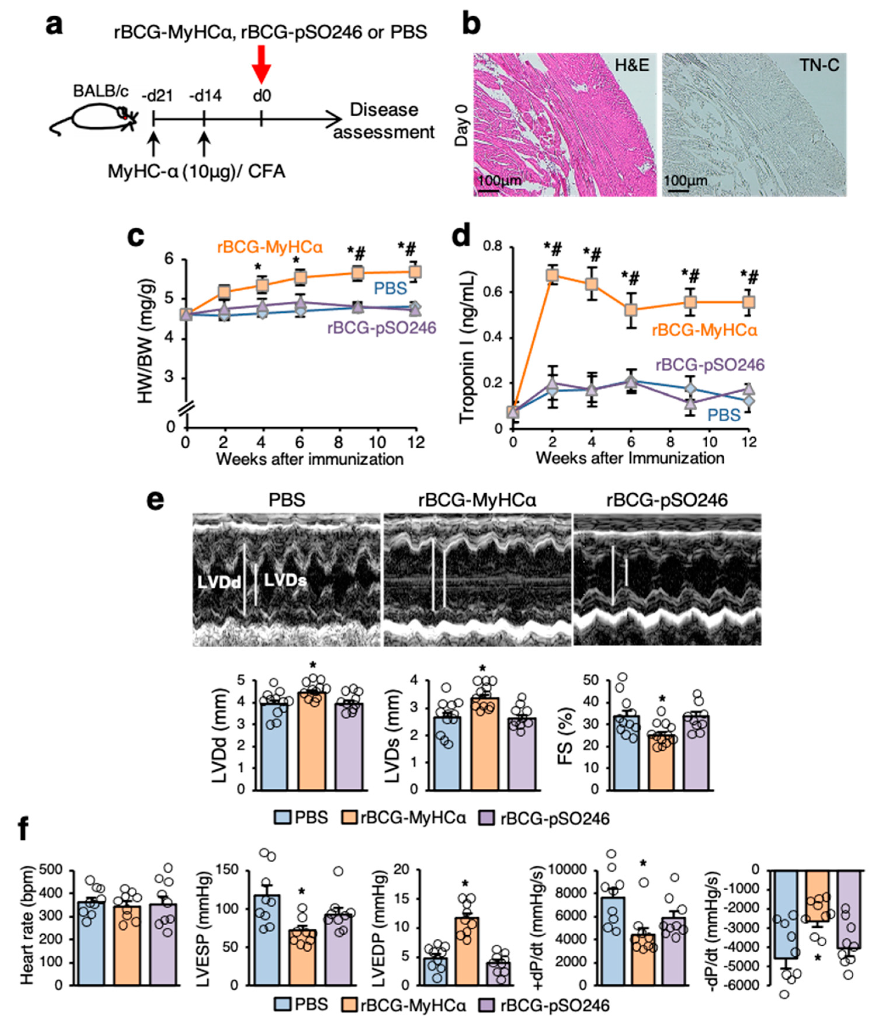 Ijms 22 00794 g003 Ijms 22 00794 g003