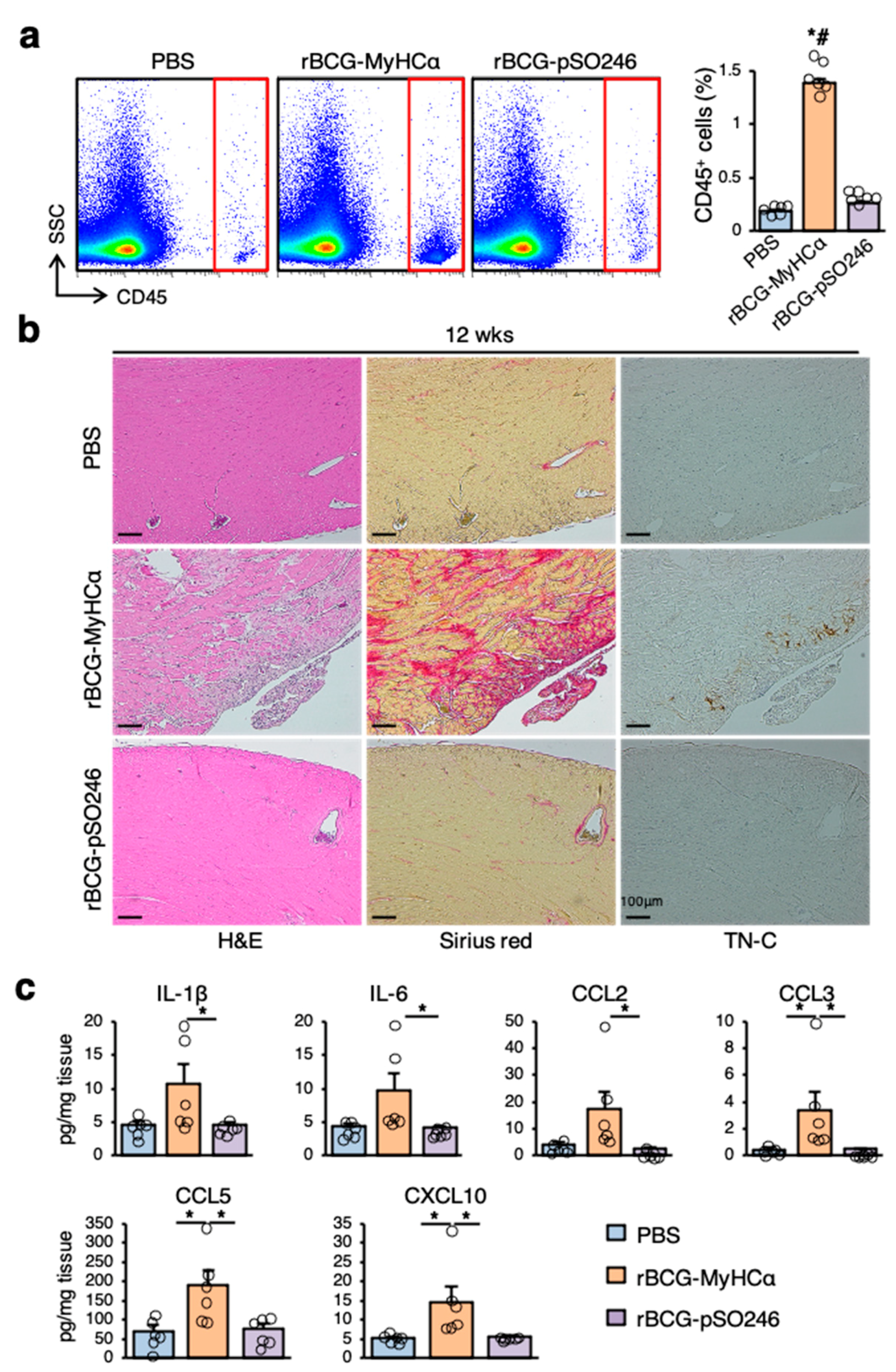 Ijms 22 00794 g004 Ijms 22 00794 g004