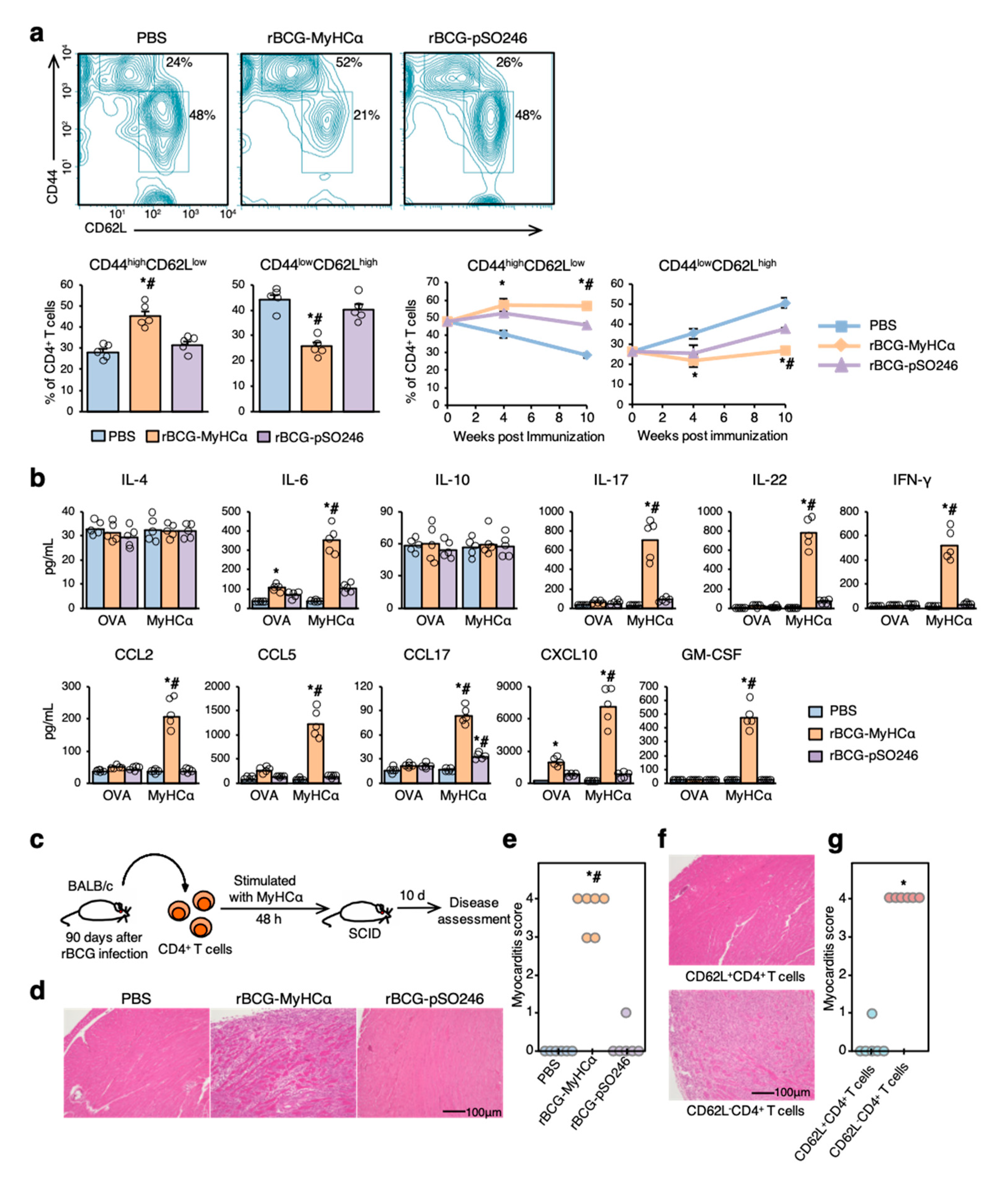 Ijms 22 00794 g006 Ijms 22 00794 g006