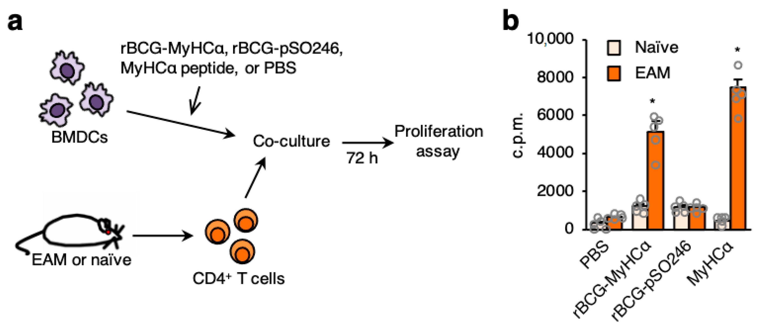 Ijms 22 00794 g009 Ijms 22 00794 g009