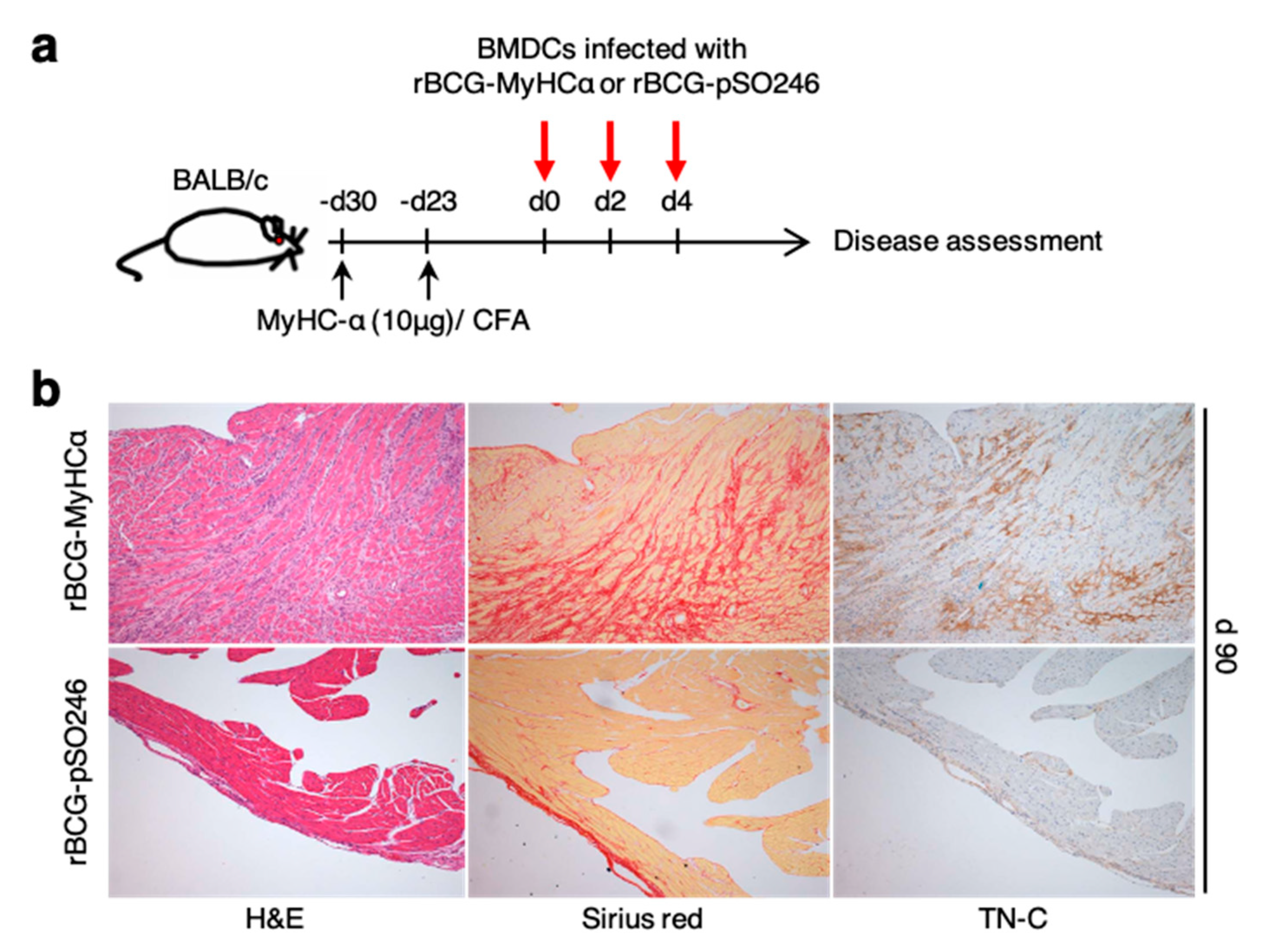 Ijms 22 00794 g010 Ijms 22 00794 g010