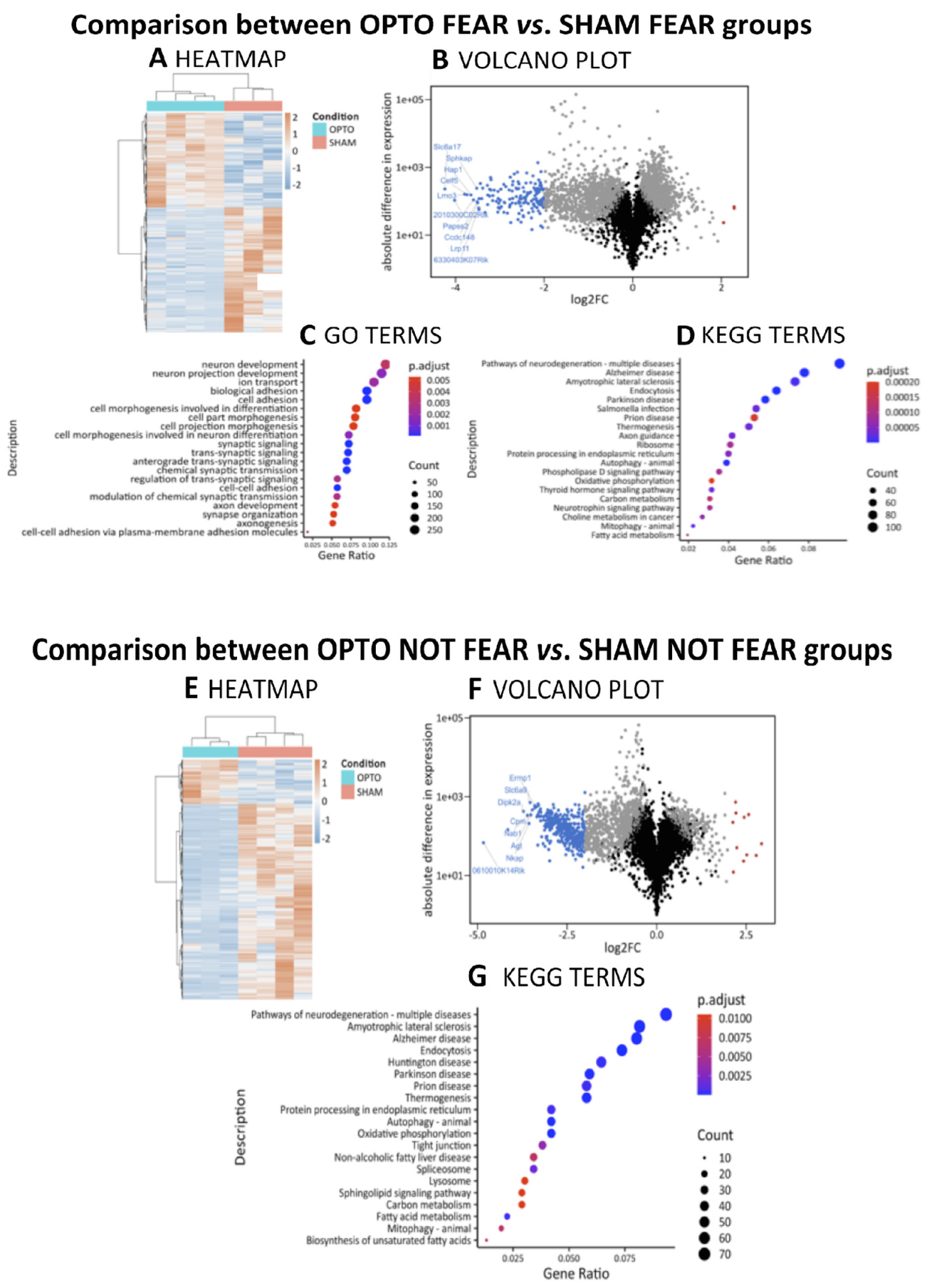 Ijms 22 00810 g005 Ijms 22 00810 g005