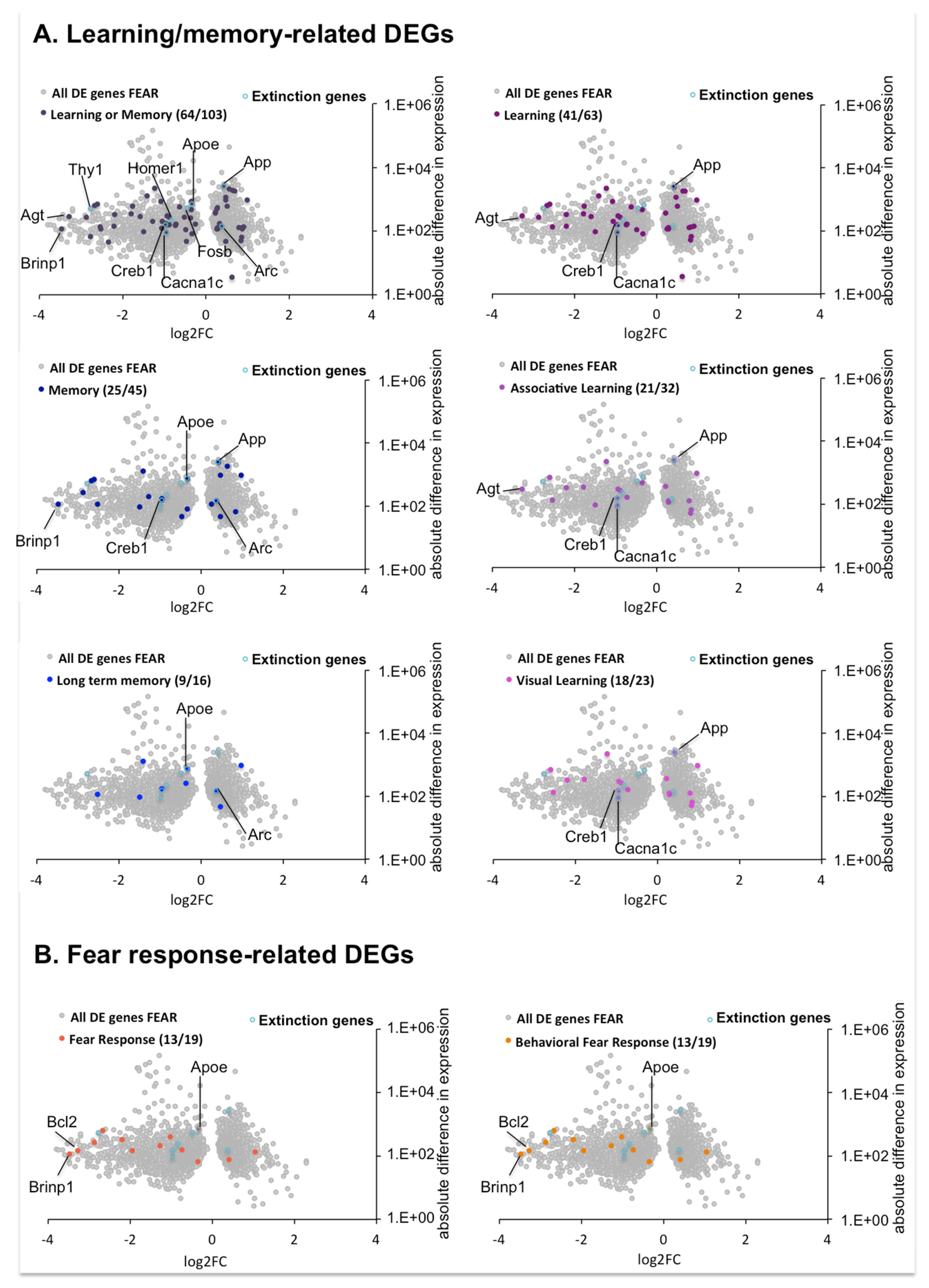 Ijms 22 00810 g007 Ijms 22 00810 g007