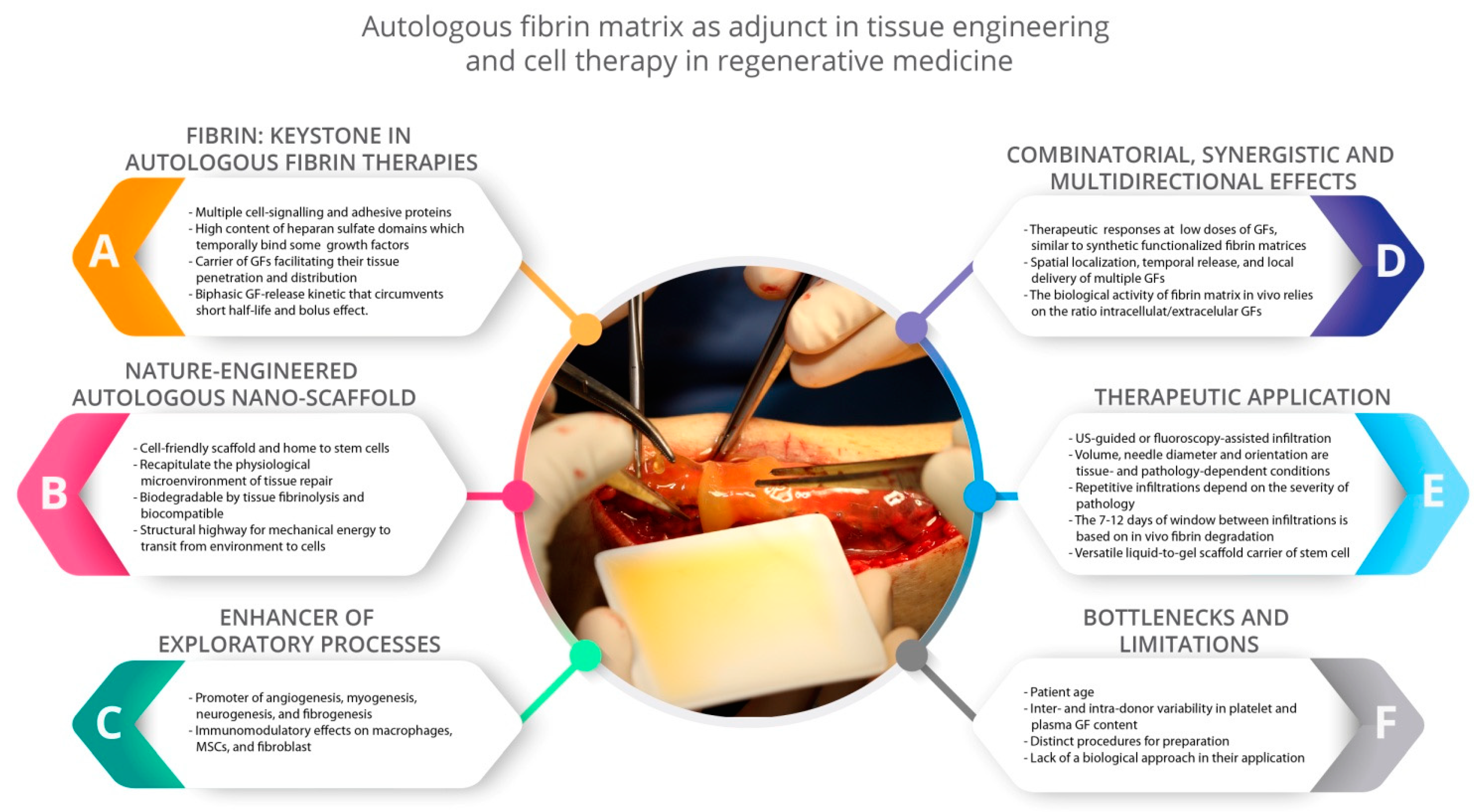 Ijms 22 00824 g002 Ijms 22 00824 g002