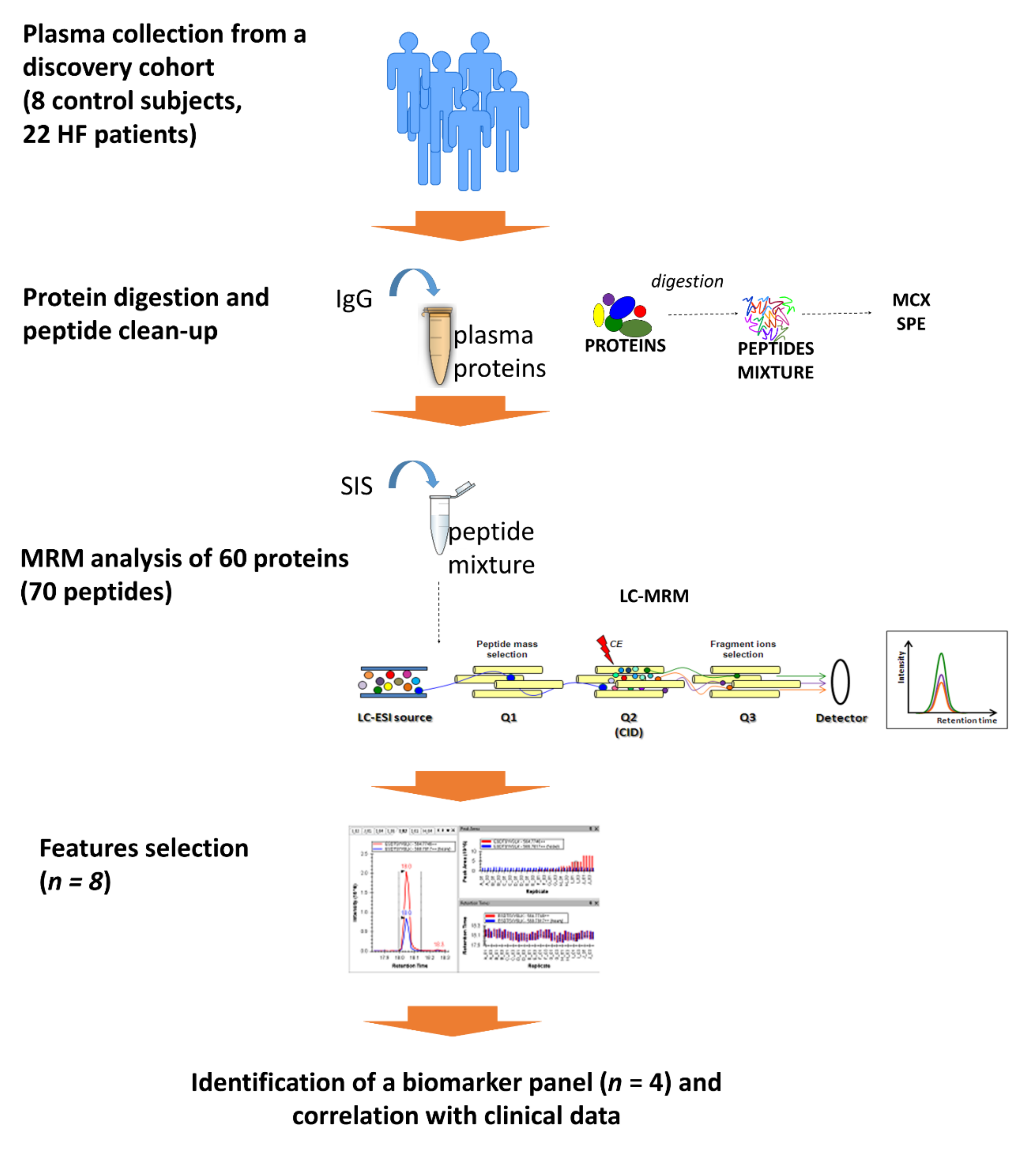 Ijms 22 00838 g001 Ijms 22 00838 g001
