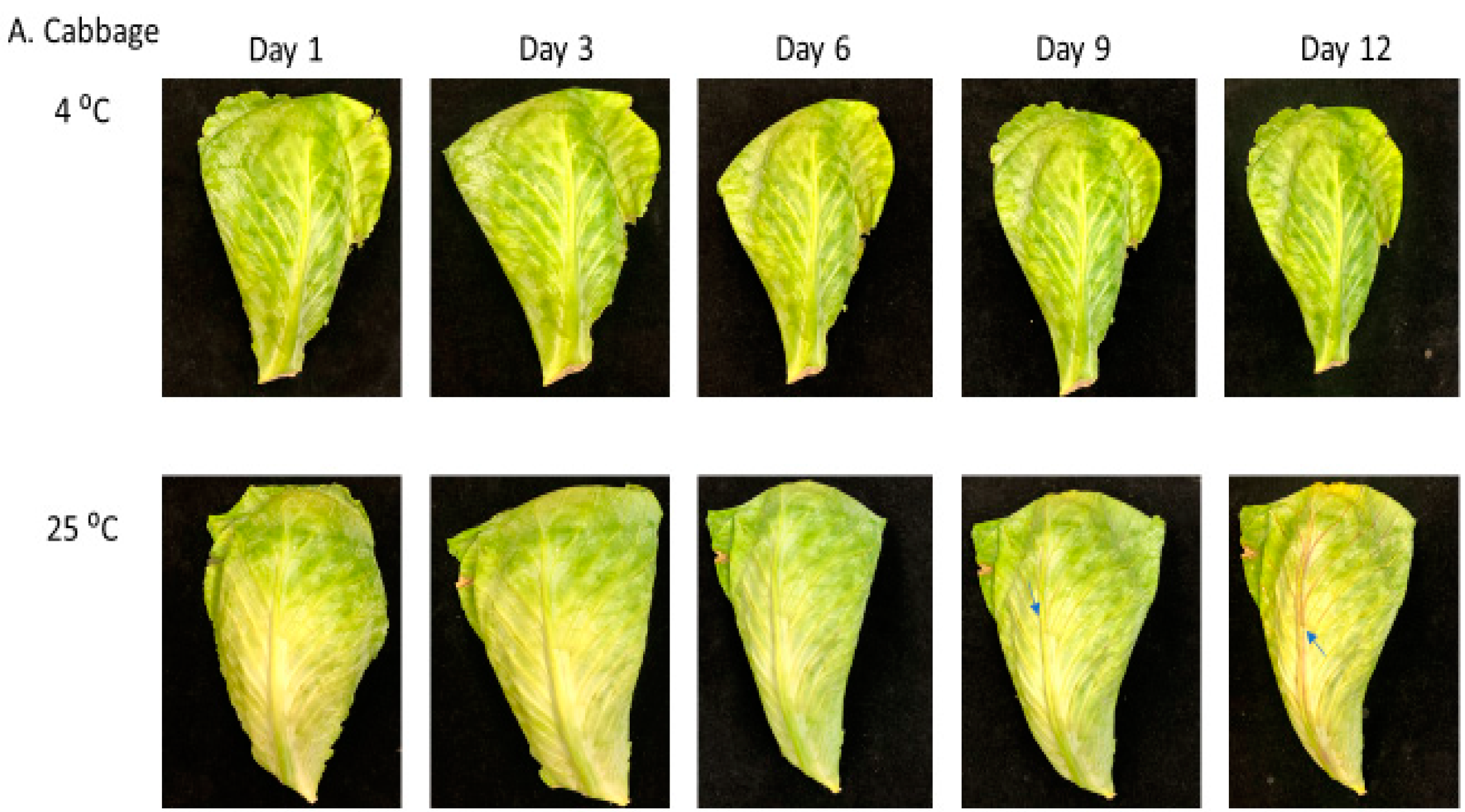 Ijms 22 00839 g001a Ijms 22 00839 g001a