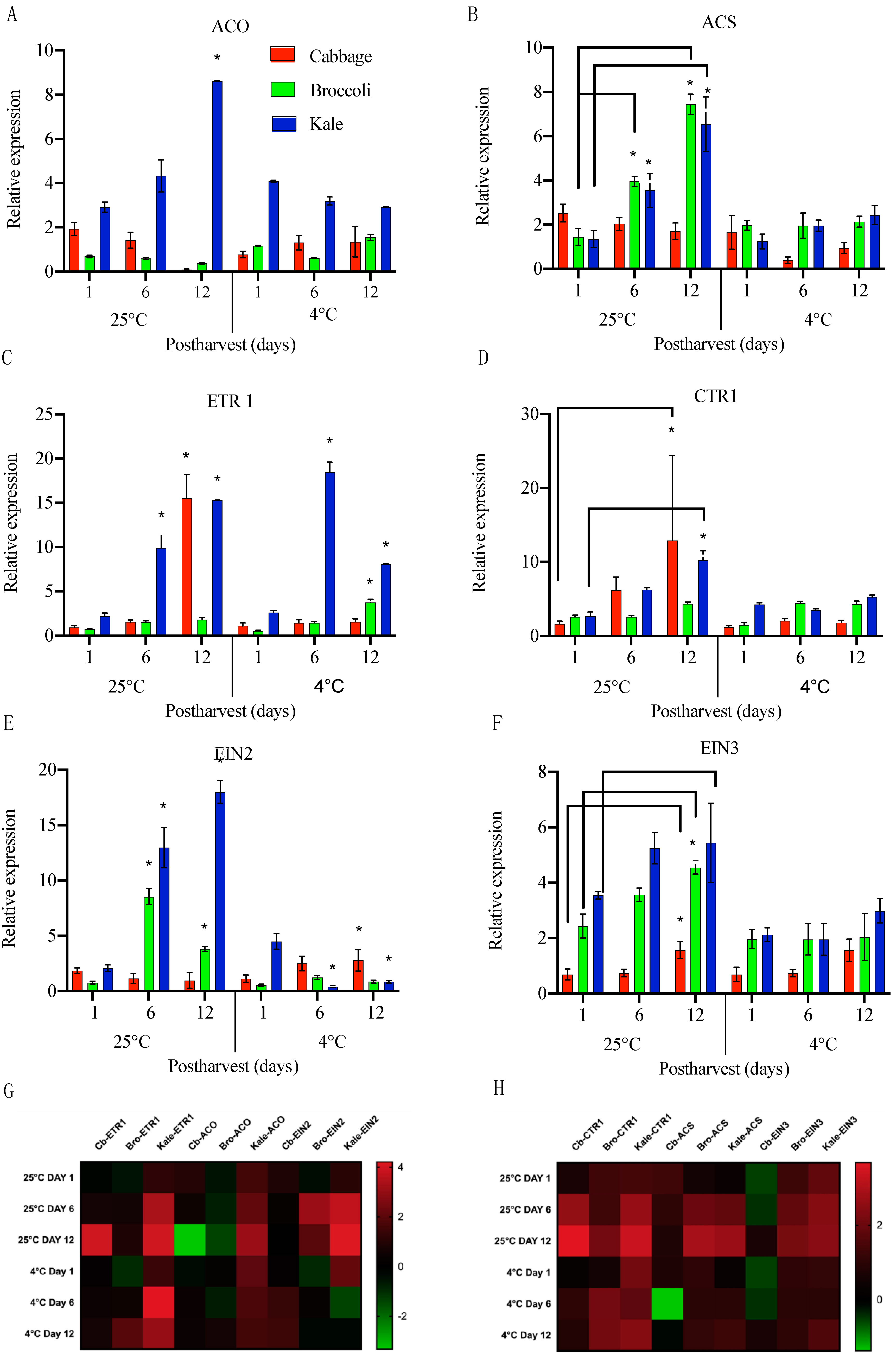 Ijms 22 00839 g004 Ijms 22 00839 g004