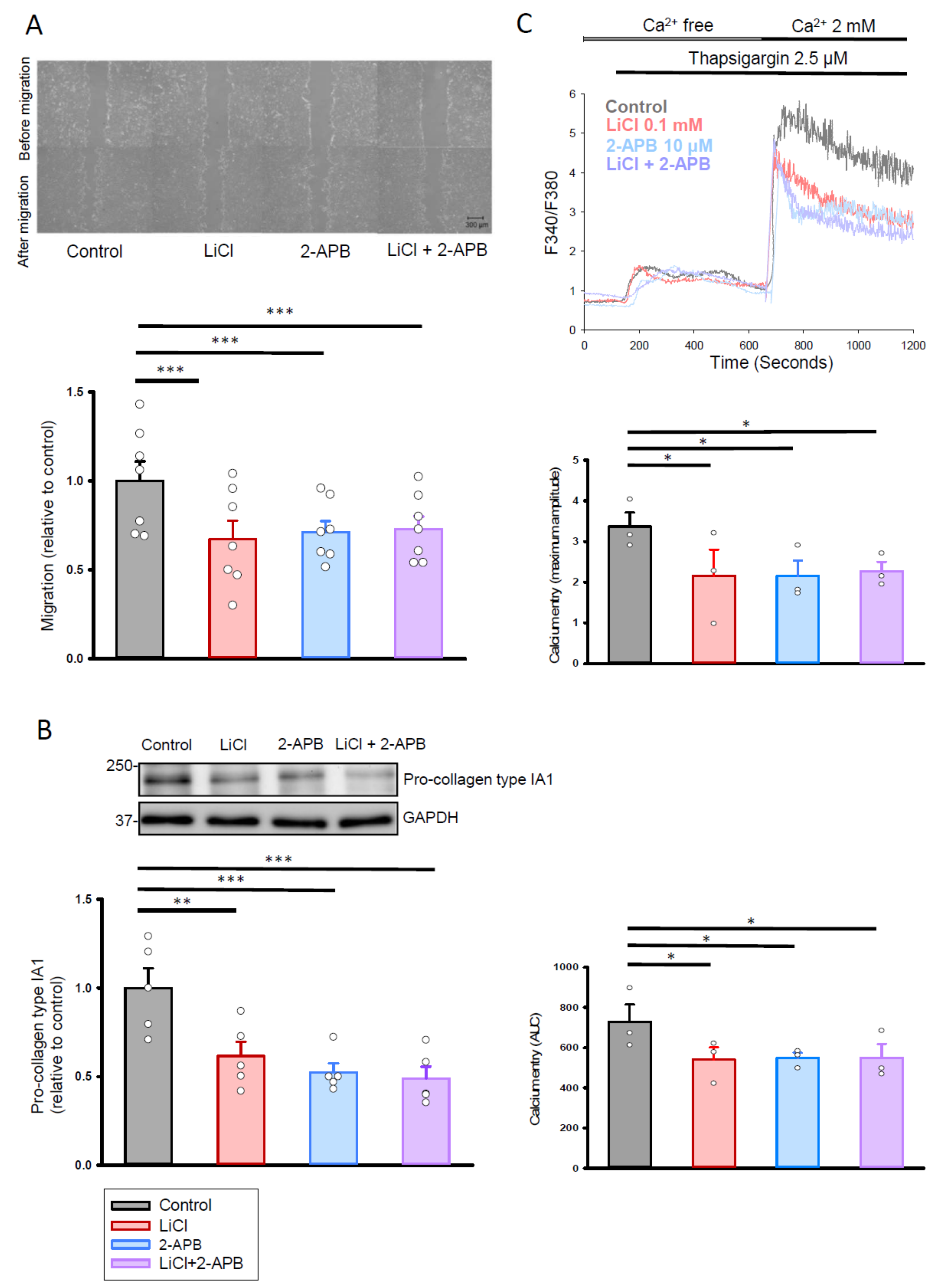 Ijms 22 00842 g005 Ijms 22 00842 g005