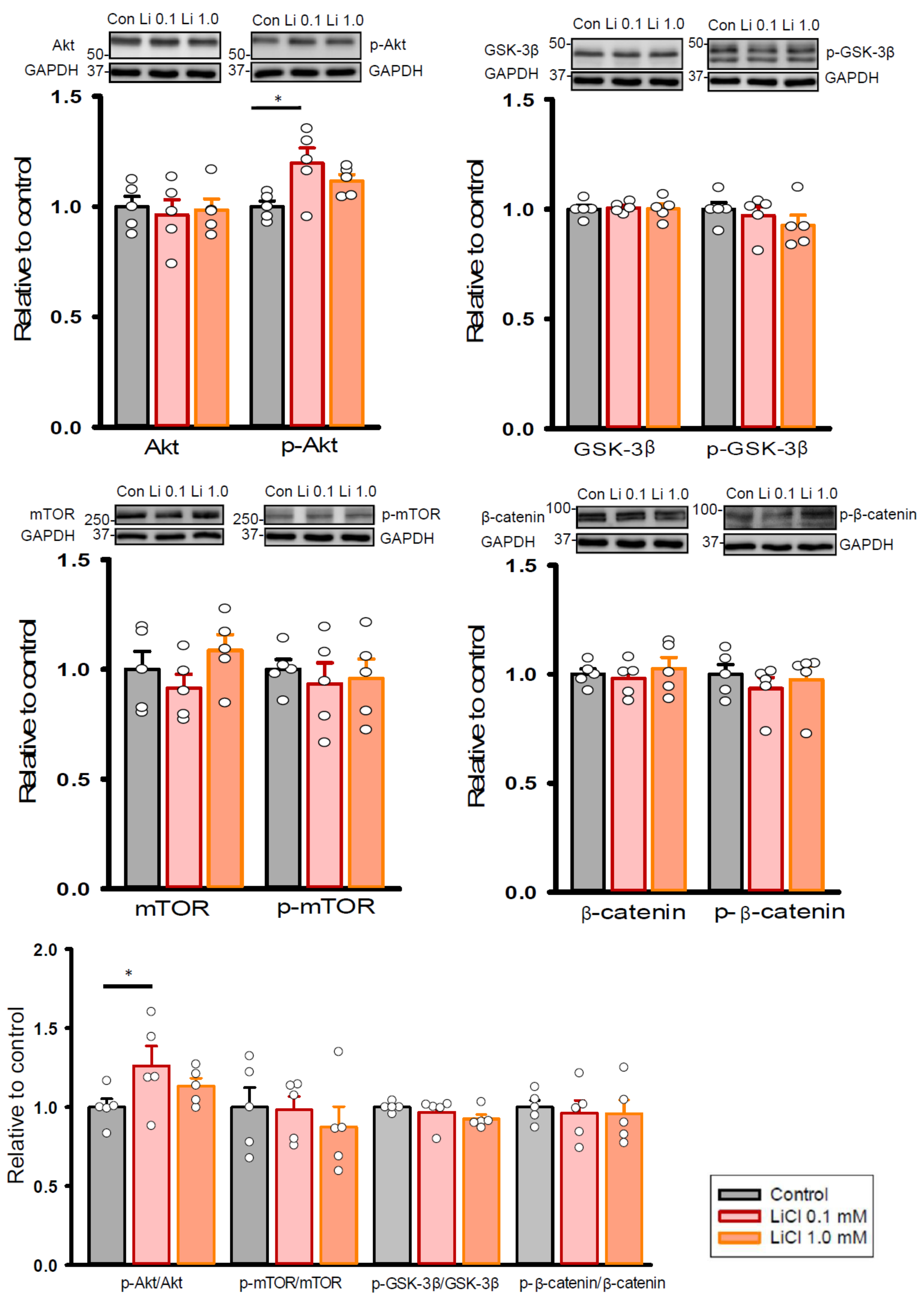 Ijms 22 00842 g006 Ijms 22 00842 g006