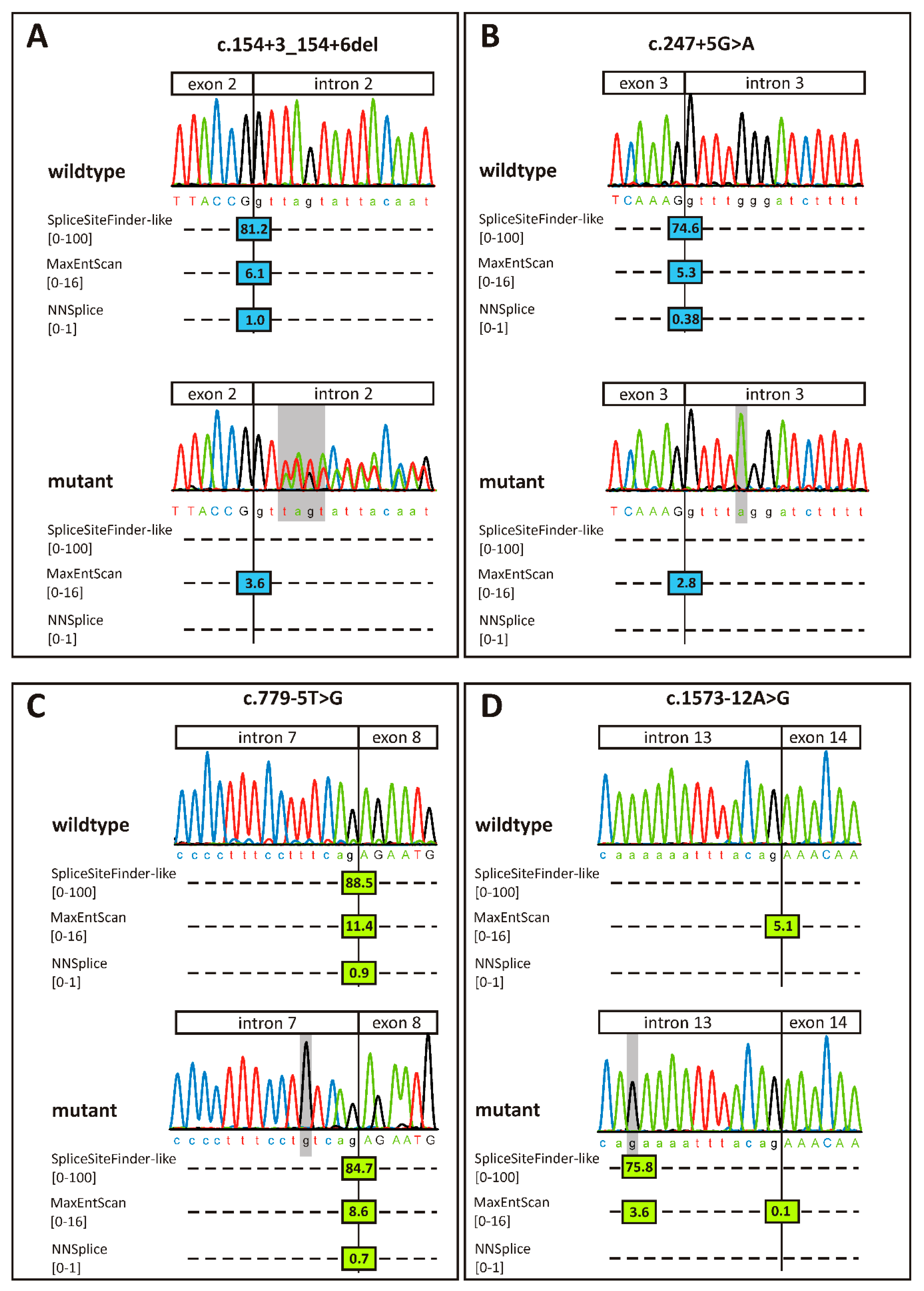 Ijms 22 00850 g002 Ijms 22 00850 g002