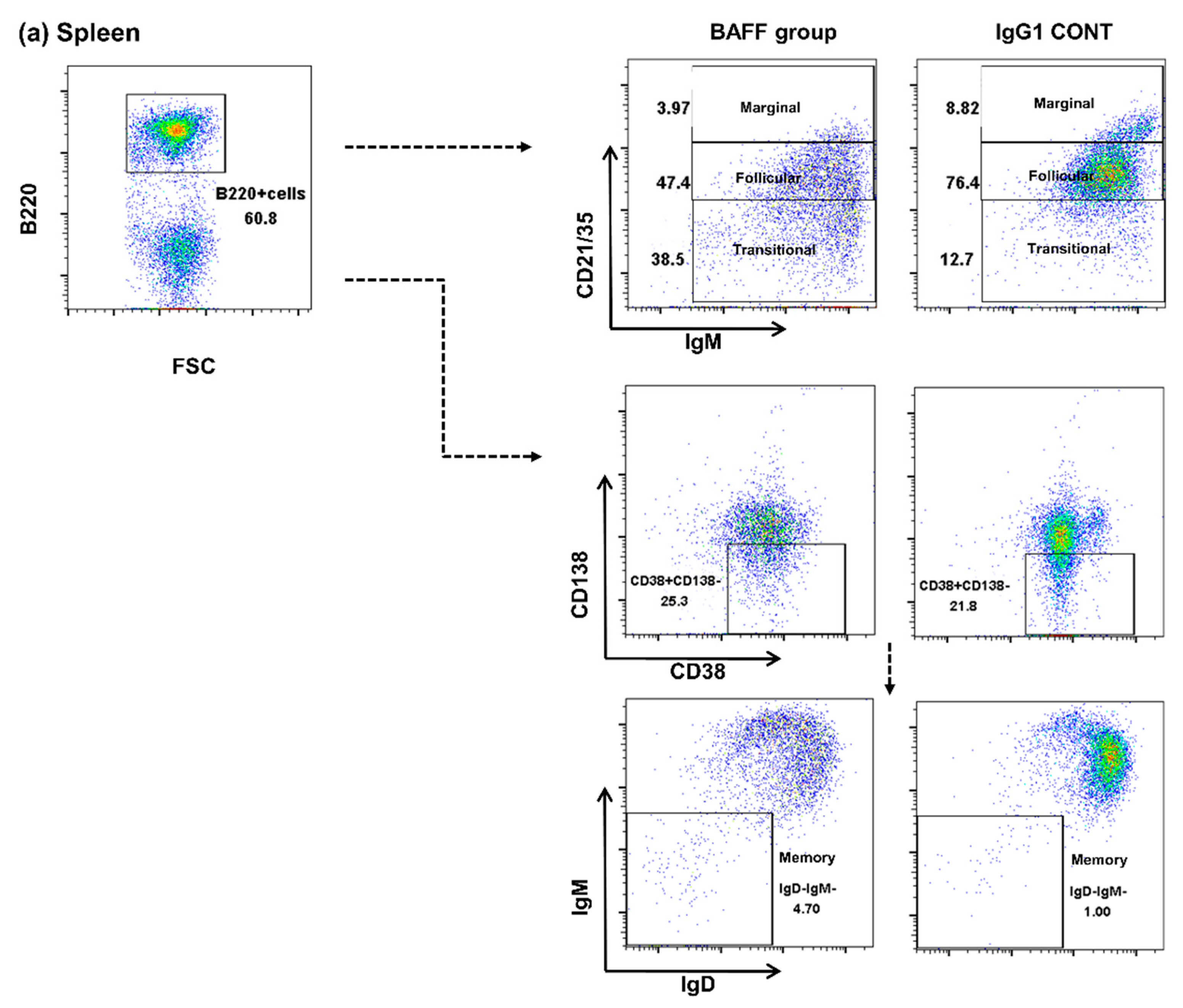 Ijms 22 00861 g003a Ijms 22 00861 g003a