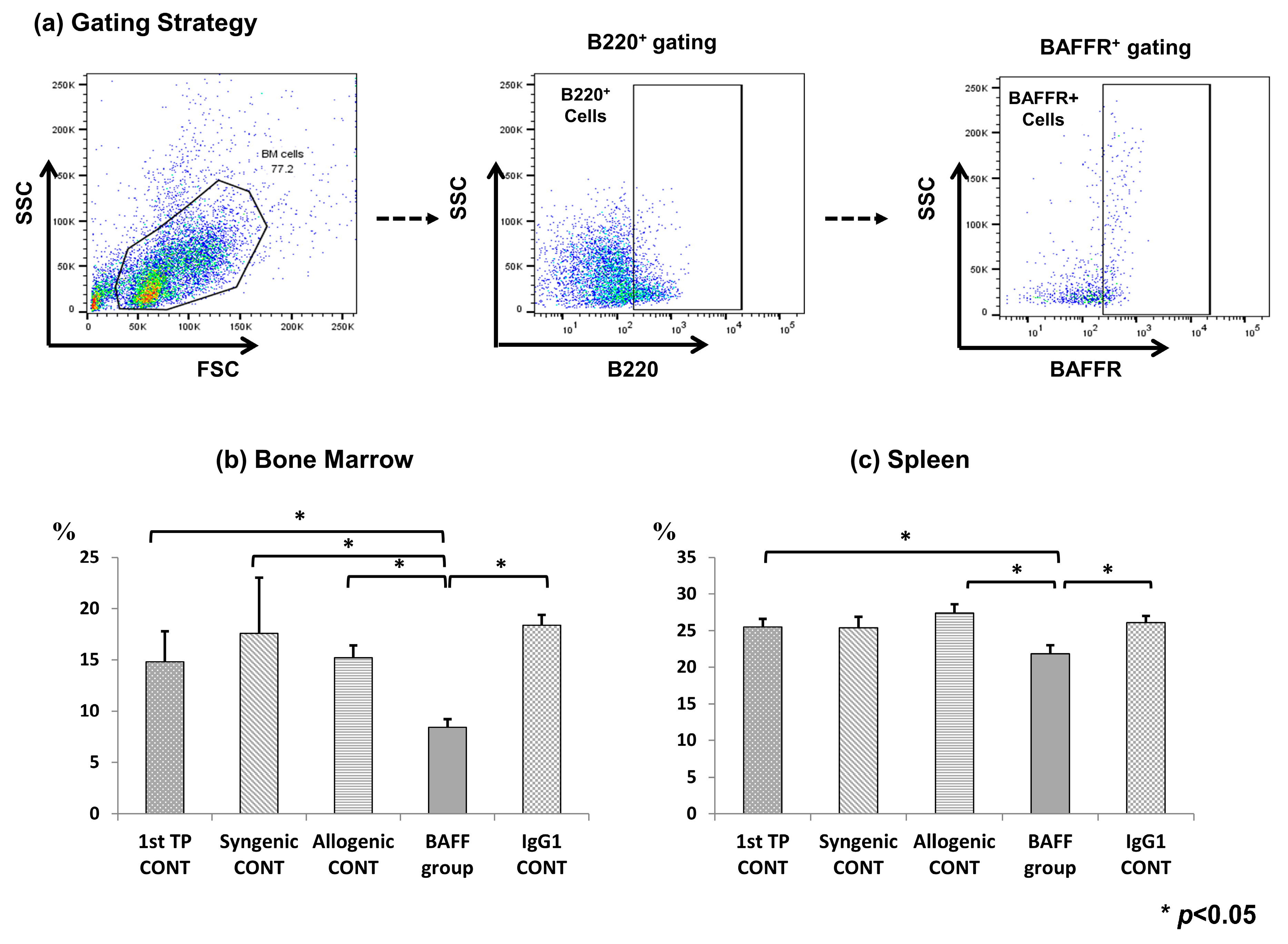Ijms 22 00861 g005 Ijms 22 00861 g005