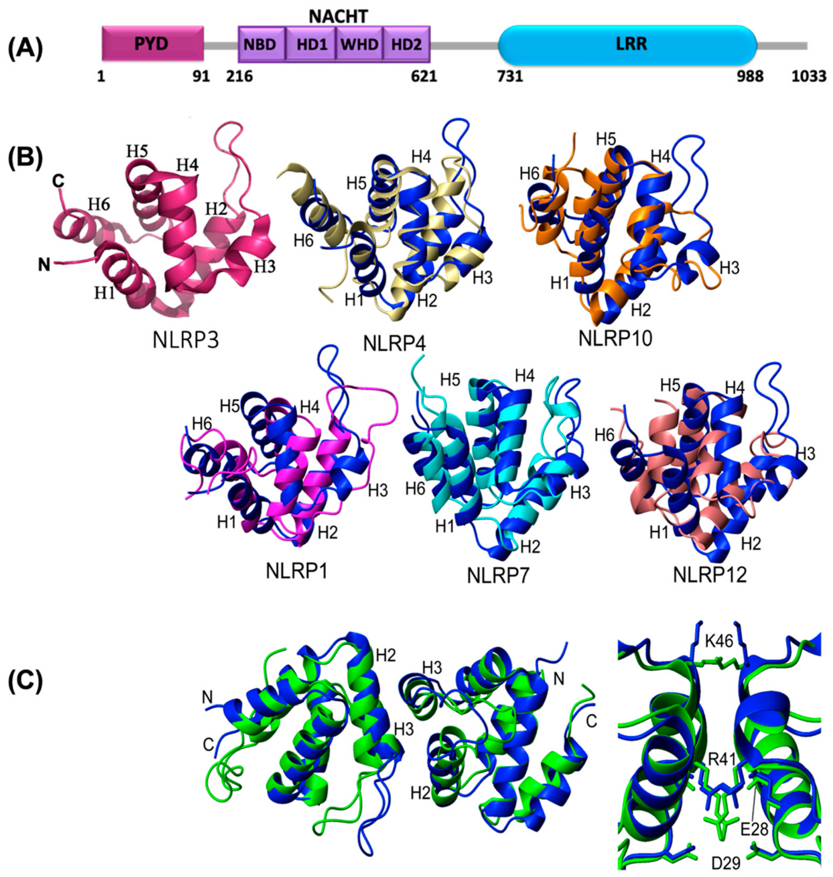 Ijms 22 00872 g001 Ijms 22 00872 g001