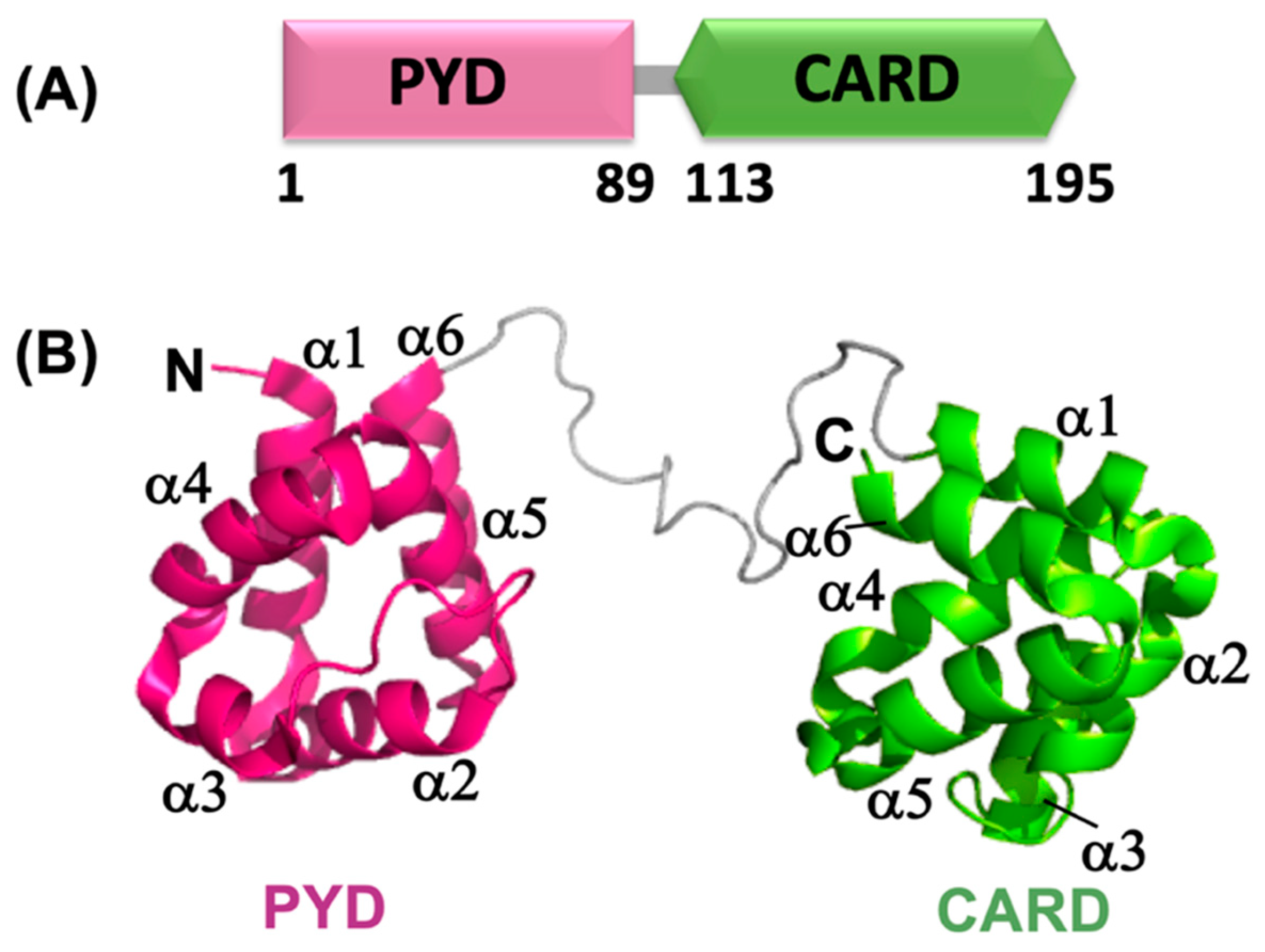 Ijms 22 00872 g004 Ijms 22 00872 g004