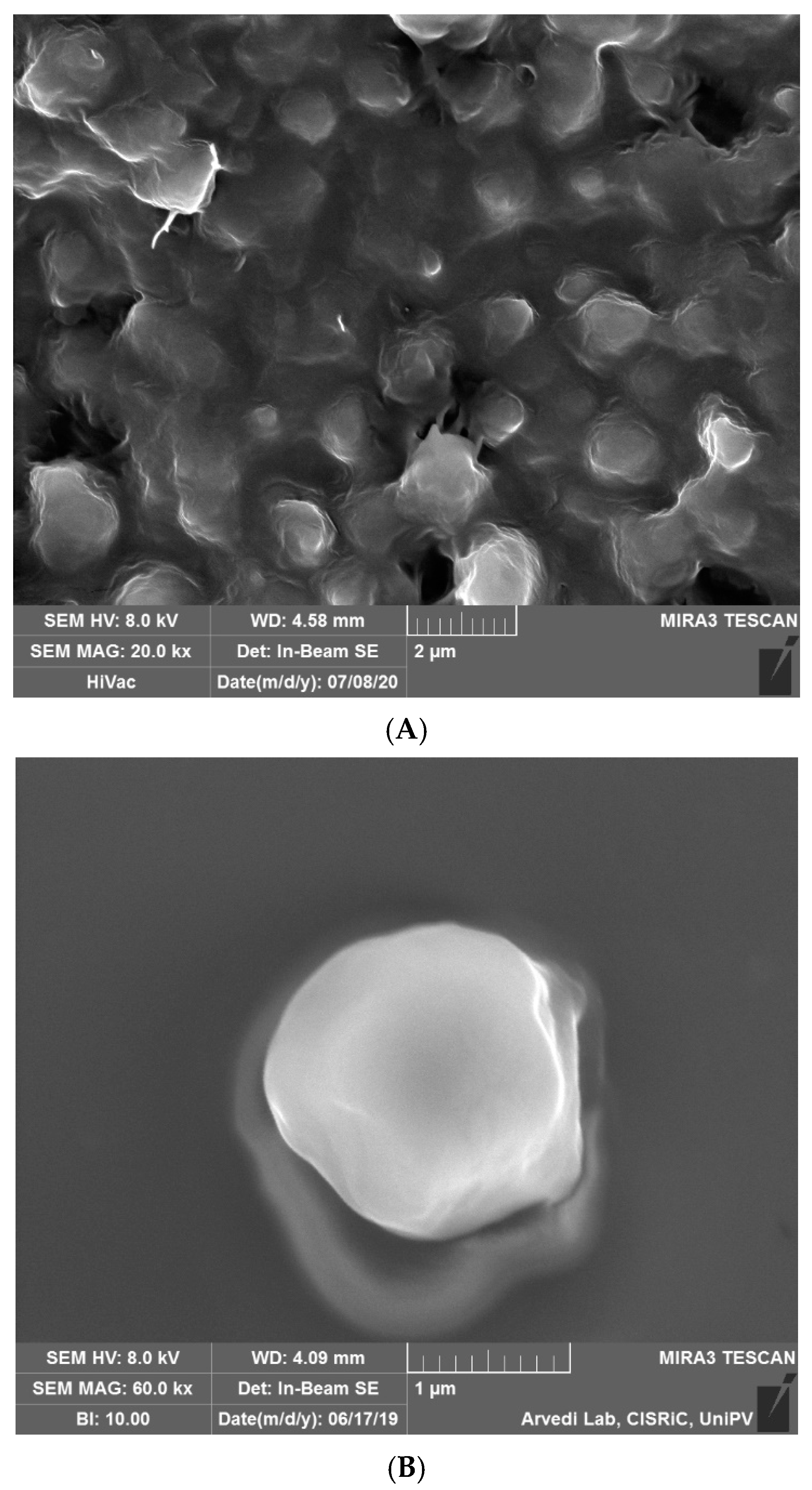 Ijms 22 00891 g001