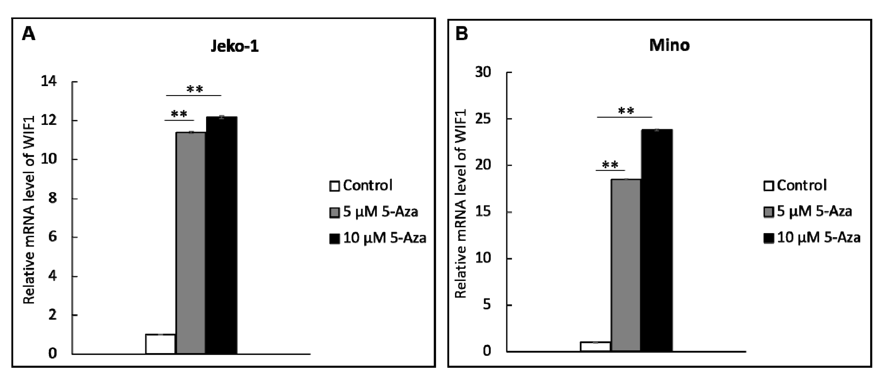 Ijms 22 00893 g003 Ijms 22 00893 g003