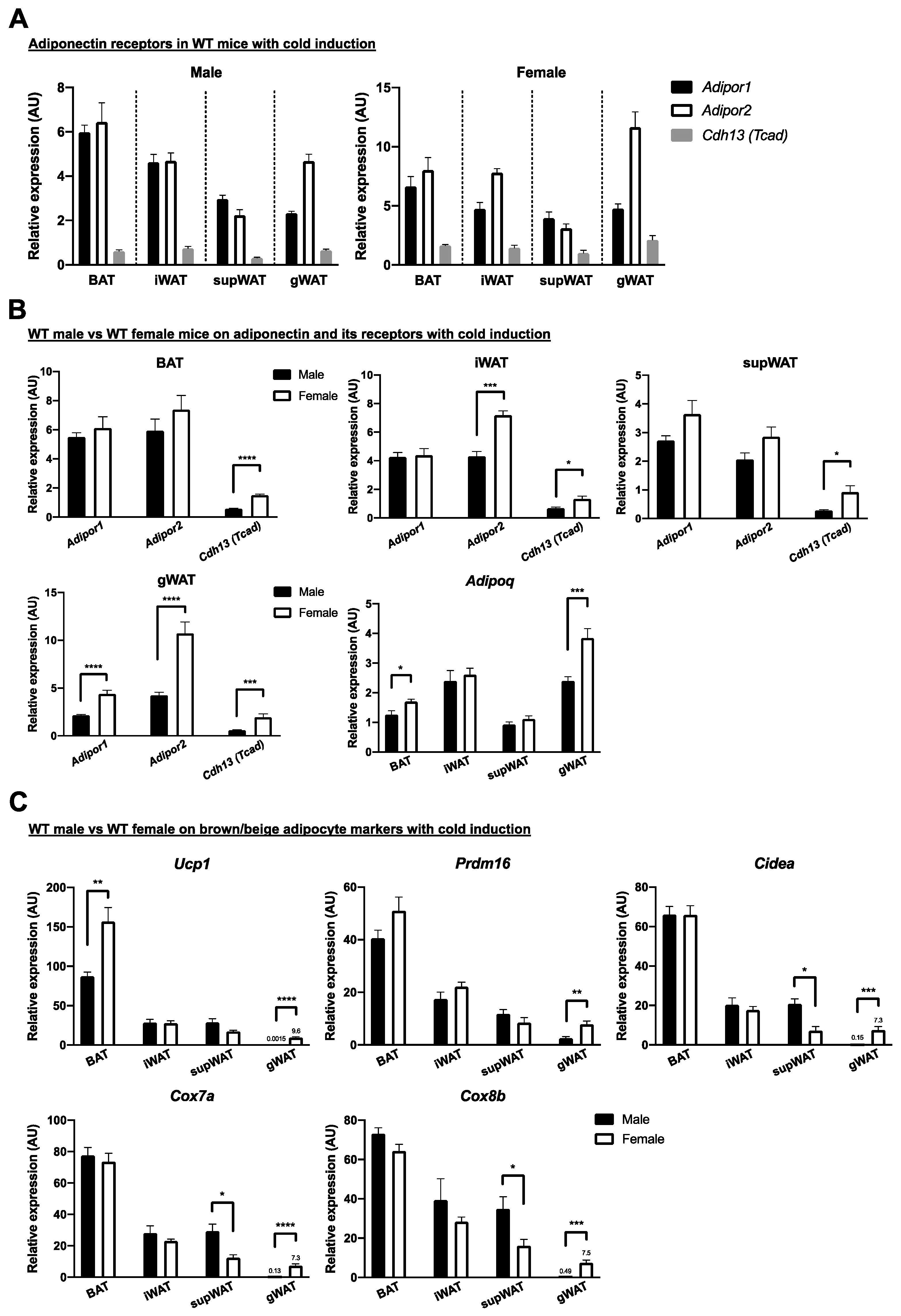 Ijms 22 00906 g005 Ijms 22 00906 g005