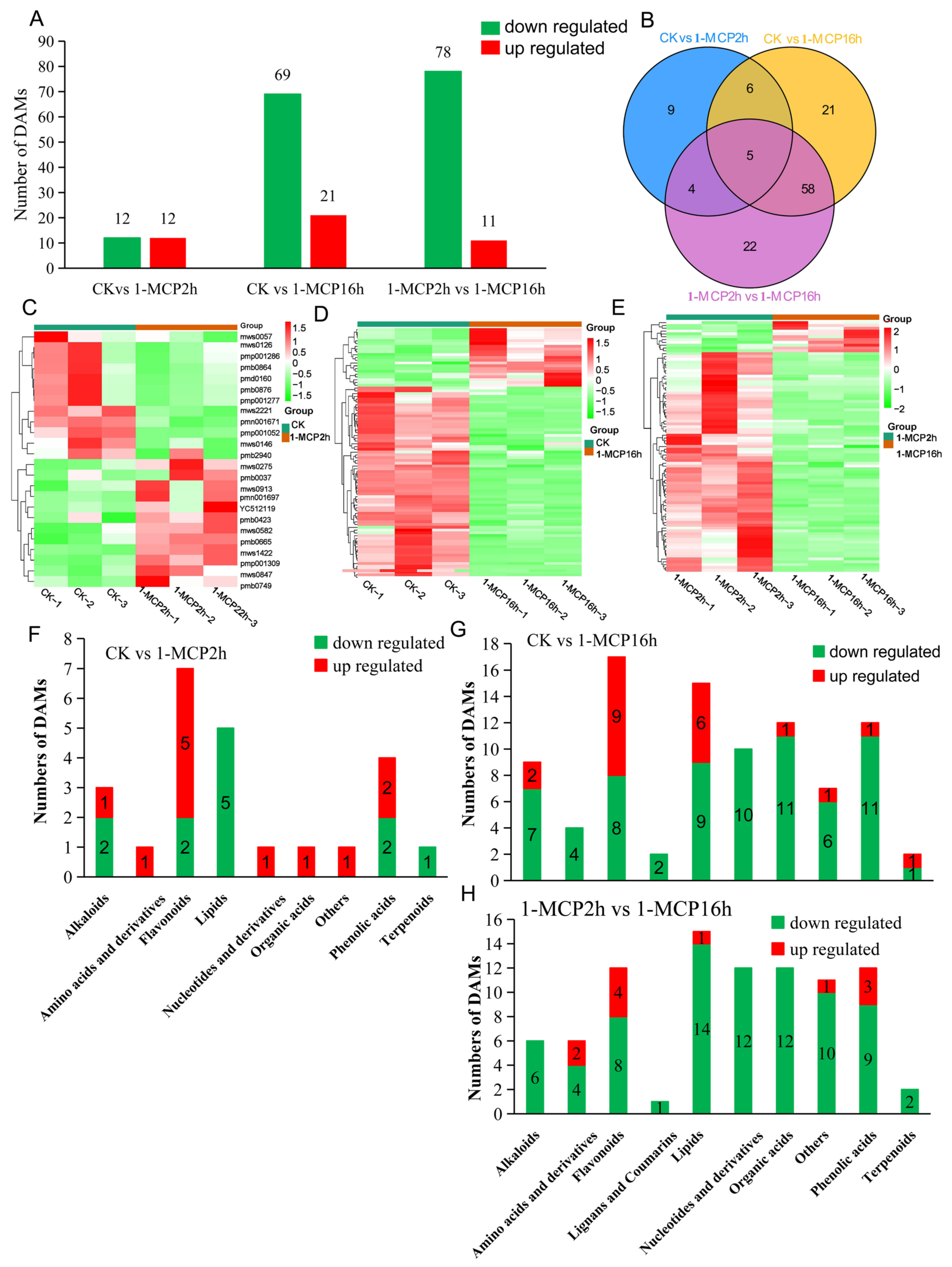 Ijms 22 00916 g002 Ijms 22 00916 g002
