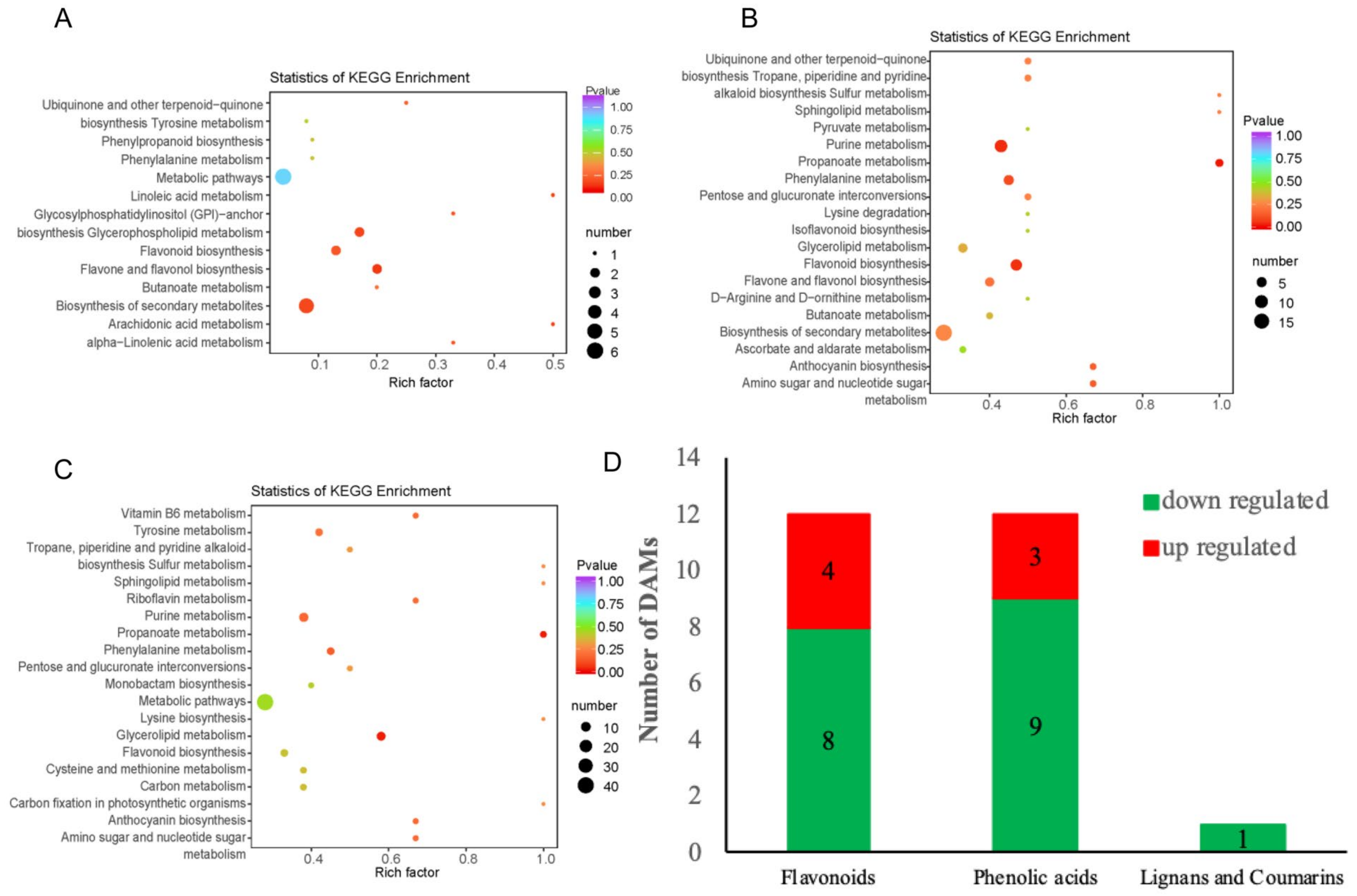 Ijms 22 00916 g003 Ijms 22 00916 g003