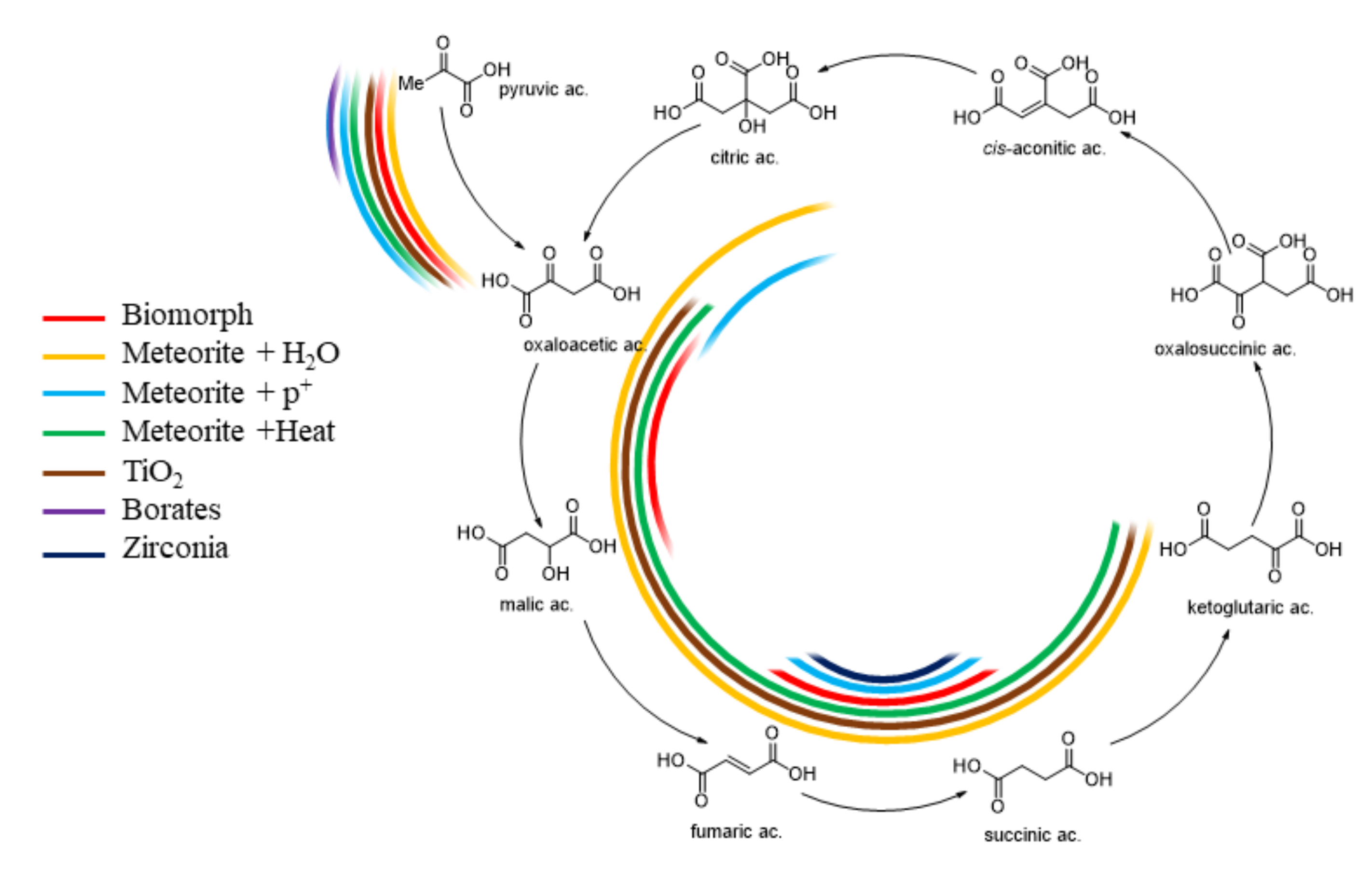Ijms 22 00917 g001 Ijms 22 00917 g001