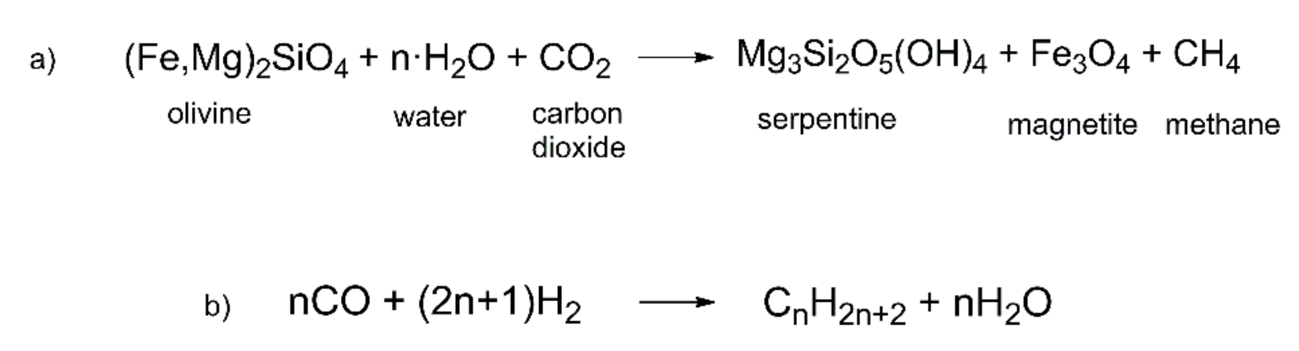 Ijms 22 00917 sch001 Ijms 22 00917 sch001