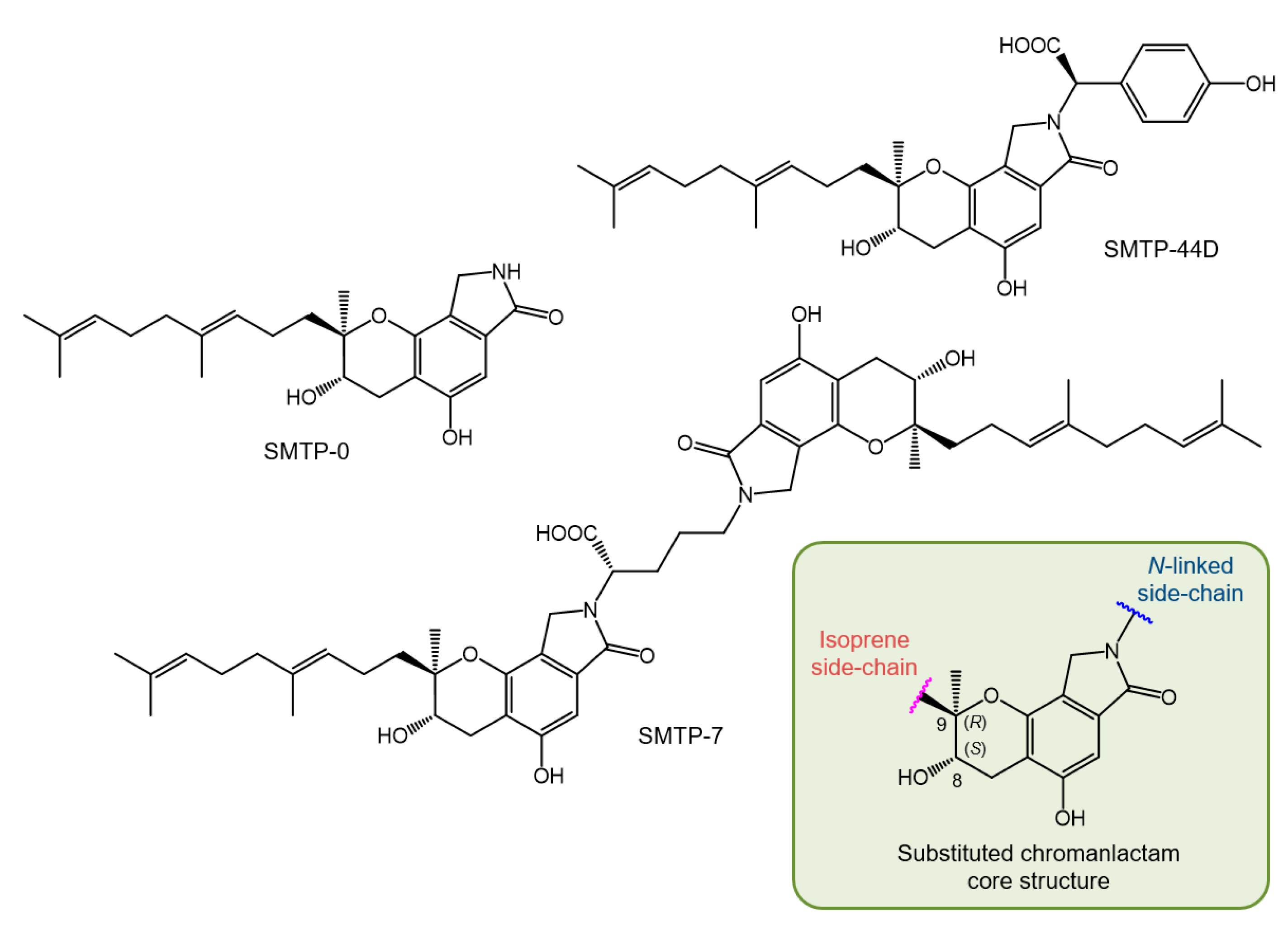 Ijms 22 00954 g001 Ijms 22 00954 g001