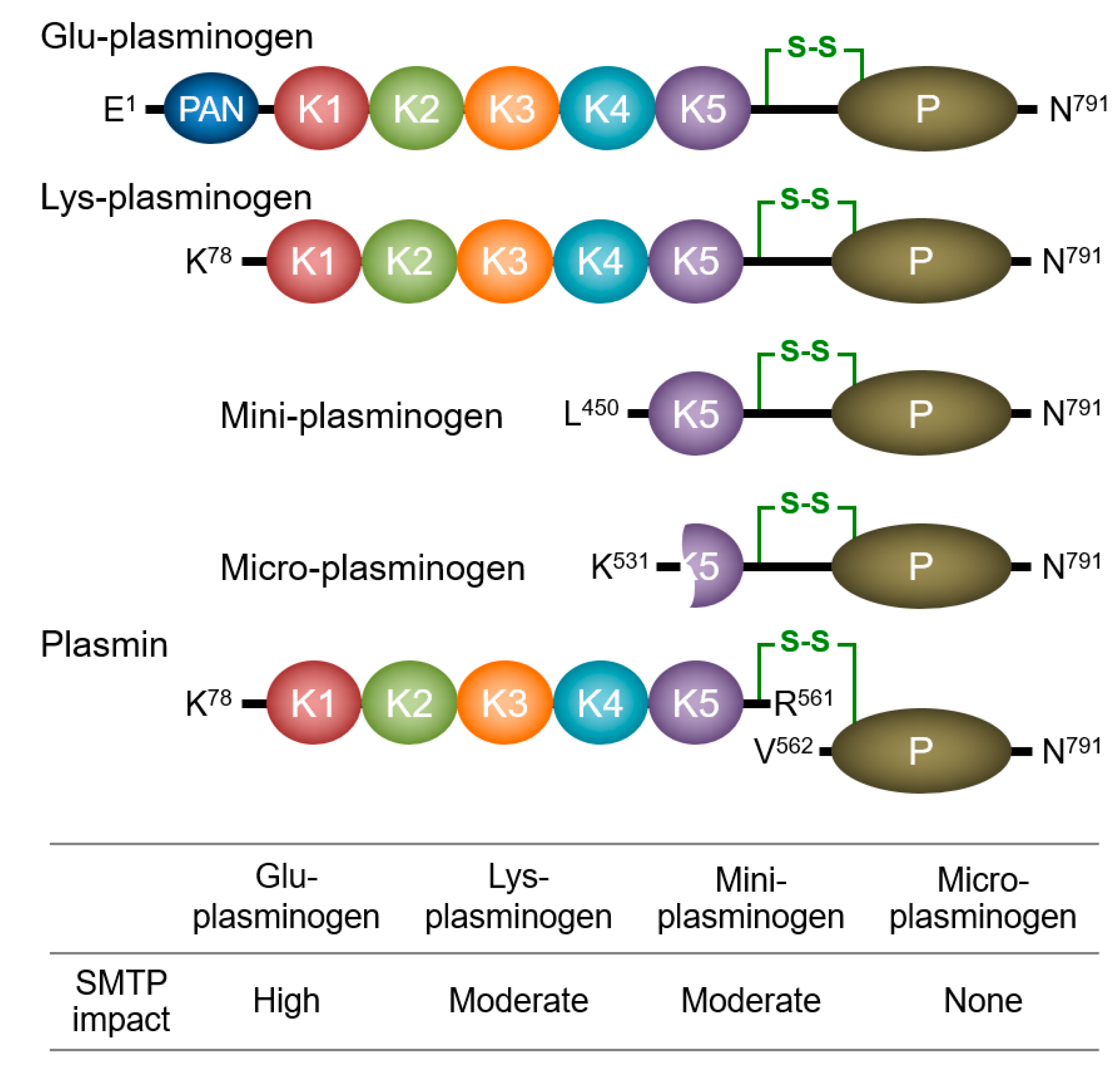 Ijms 22 00954 g003 Ijms 22 00954 g003