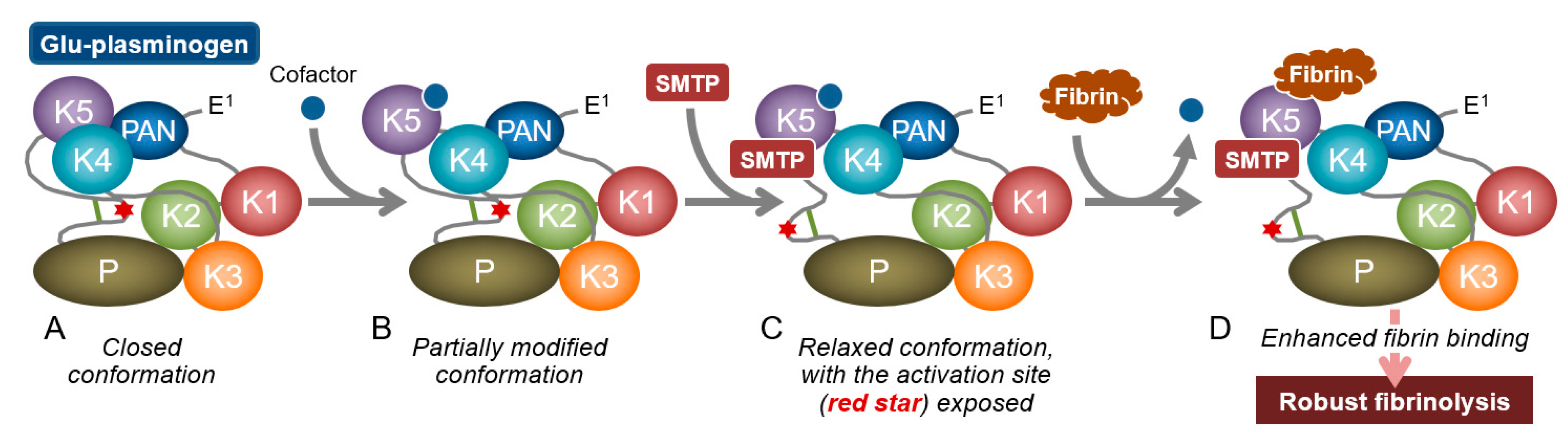 Ijms 22 00954 g004 Ijms 22 00954 g004