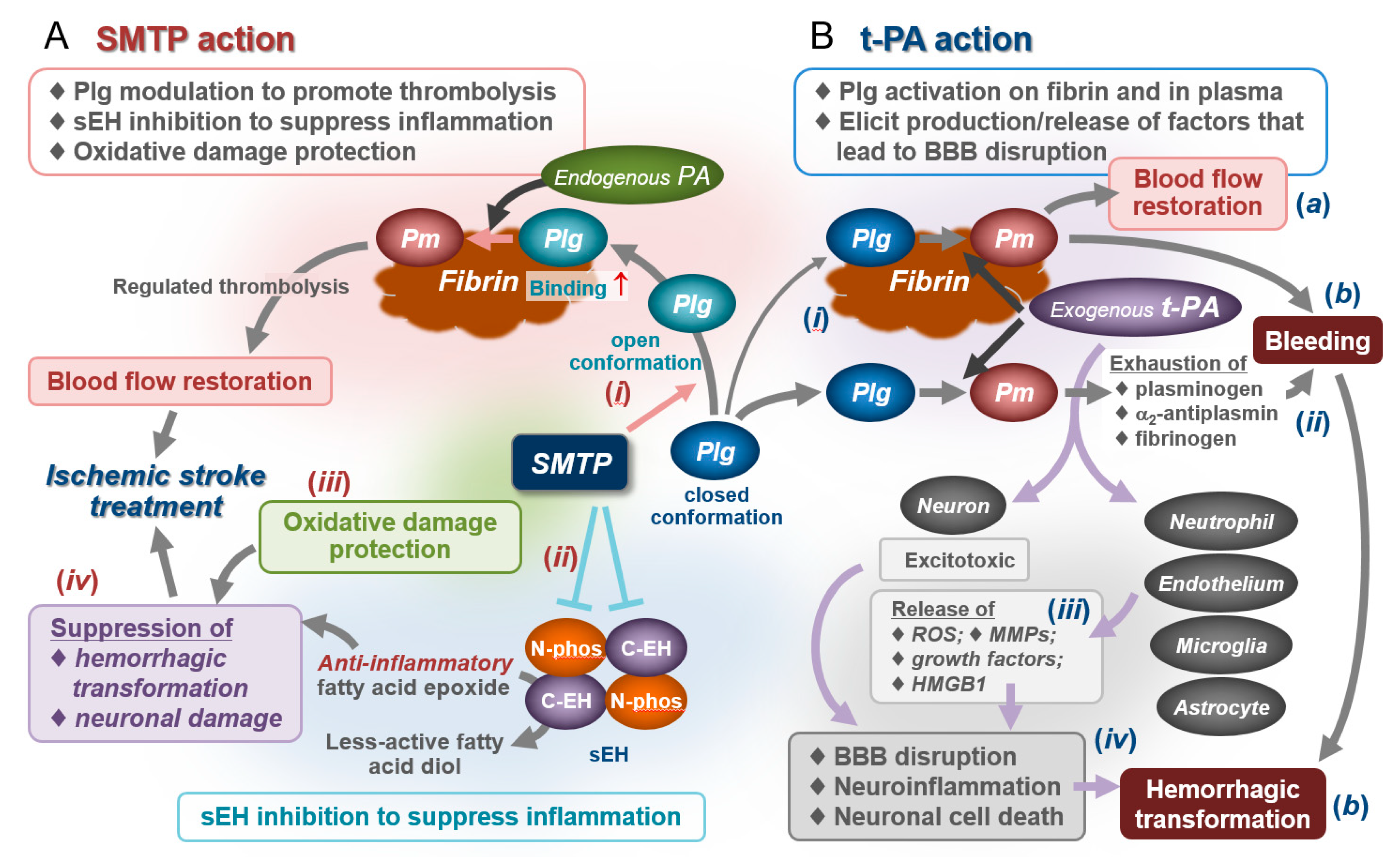 Ijms 22 00954 g006 Ijms 22 00954 g006