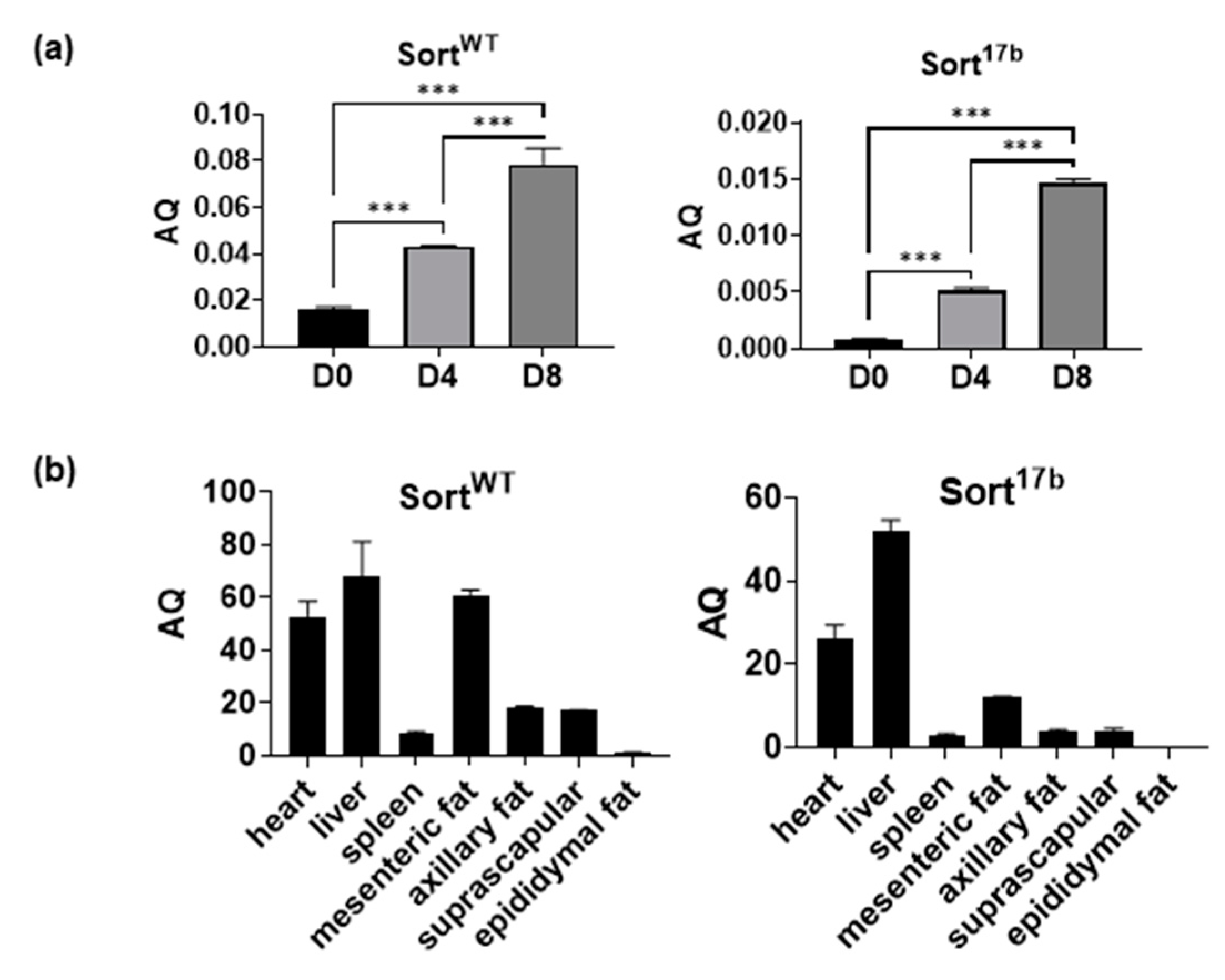 Ijms 22 00983 g002 Ijms 22 00983 g002