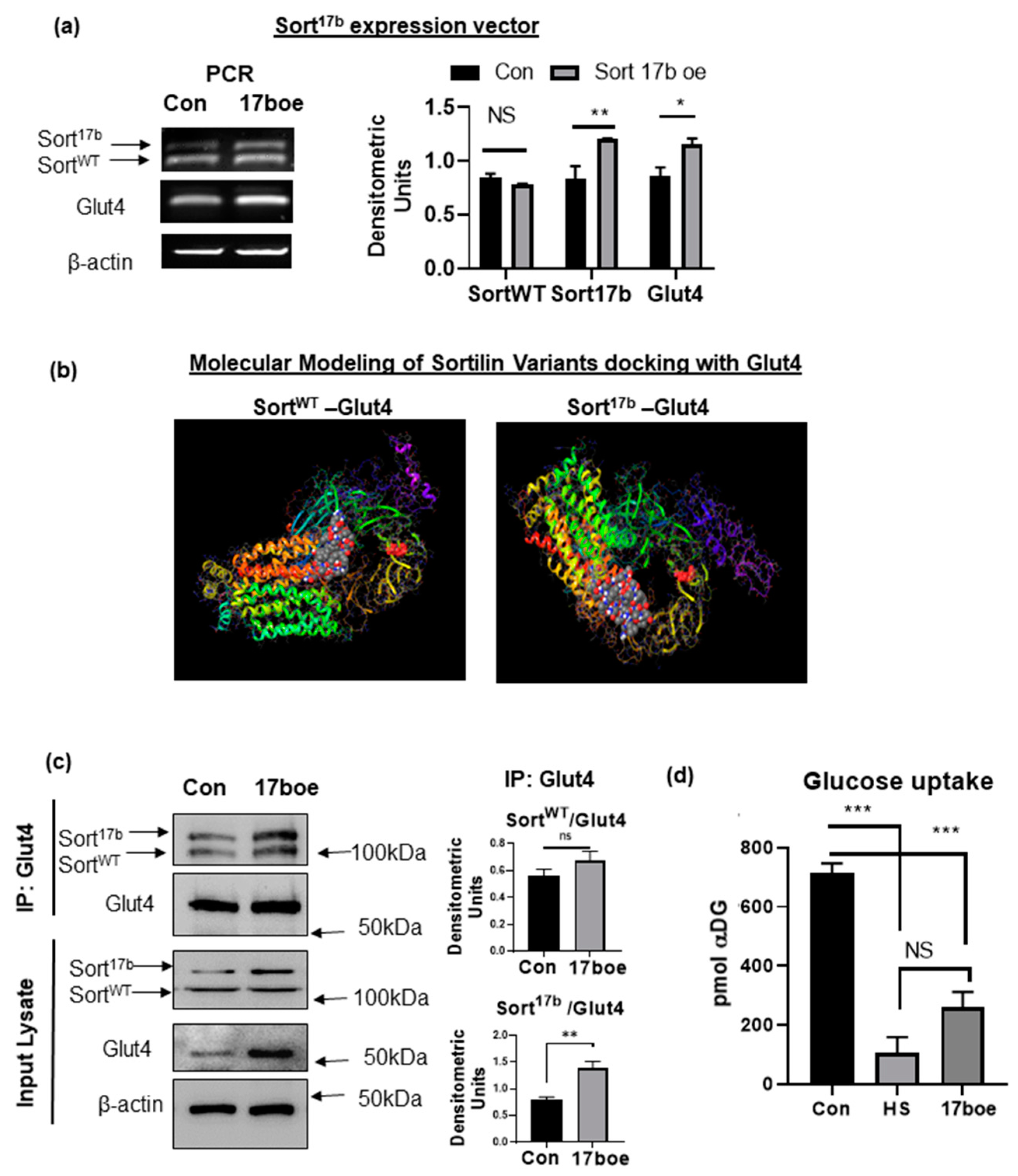 Ijms 22 00983 g006 Ijms 22 00983 g006