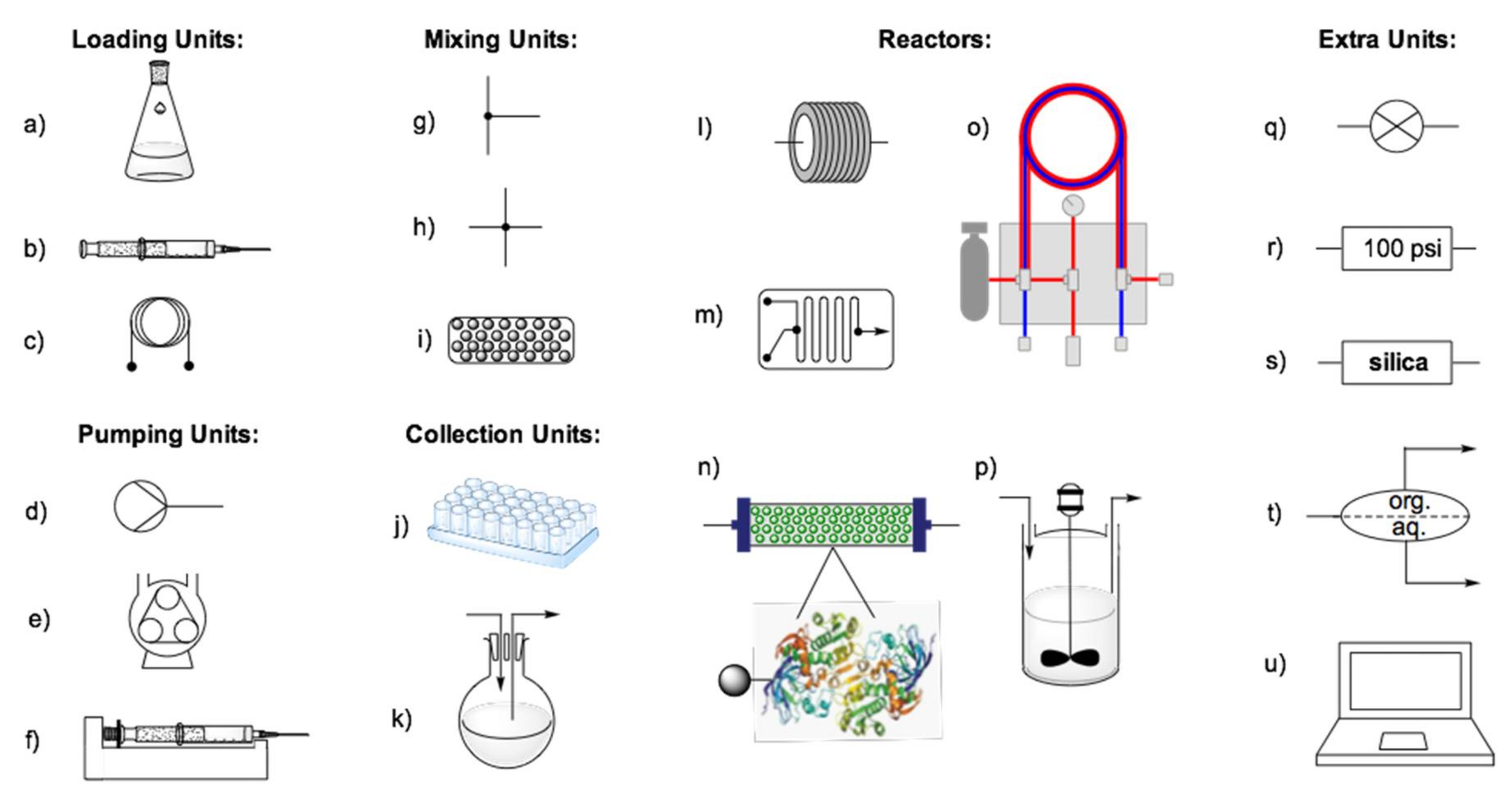 Ijms 22 00990 g003 Ijms 22 00990 g003