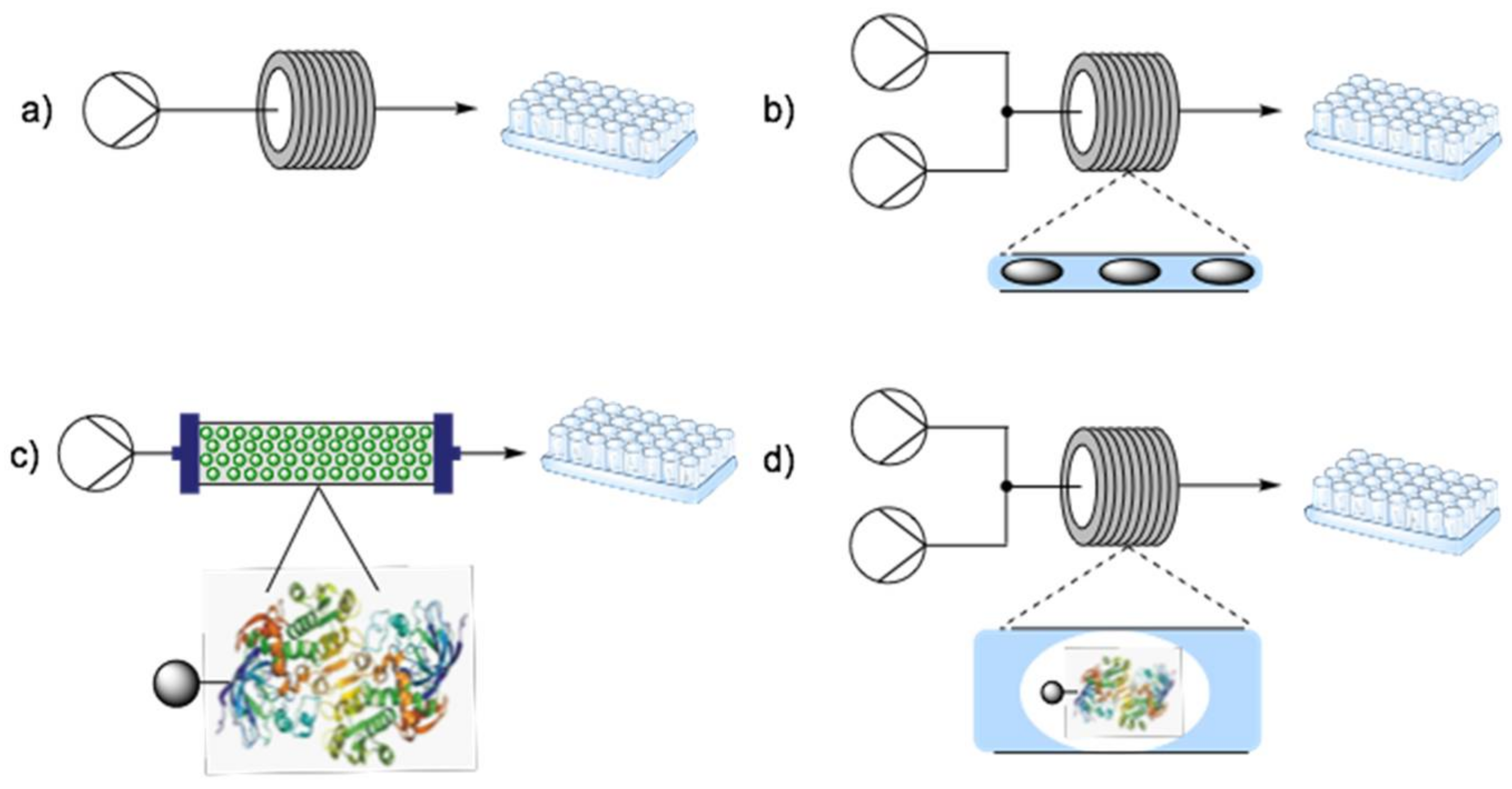 Ijms 22 00990 g004 Ijms 22 00990 g004