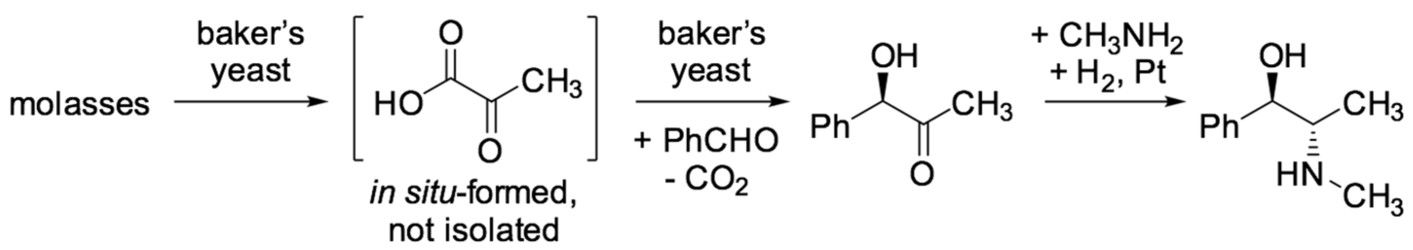 Ijms 22 00990 sch001 Ijms 22 00990 sch001