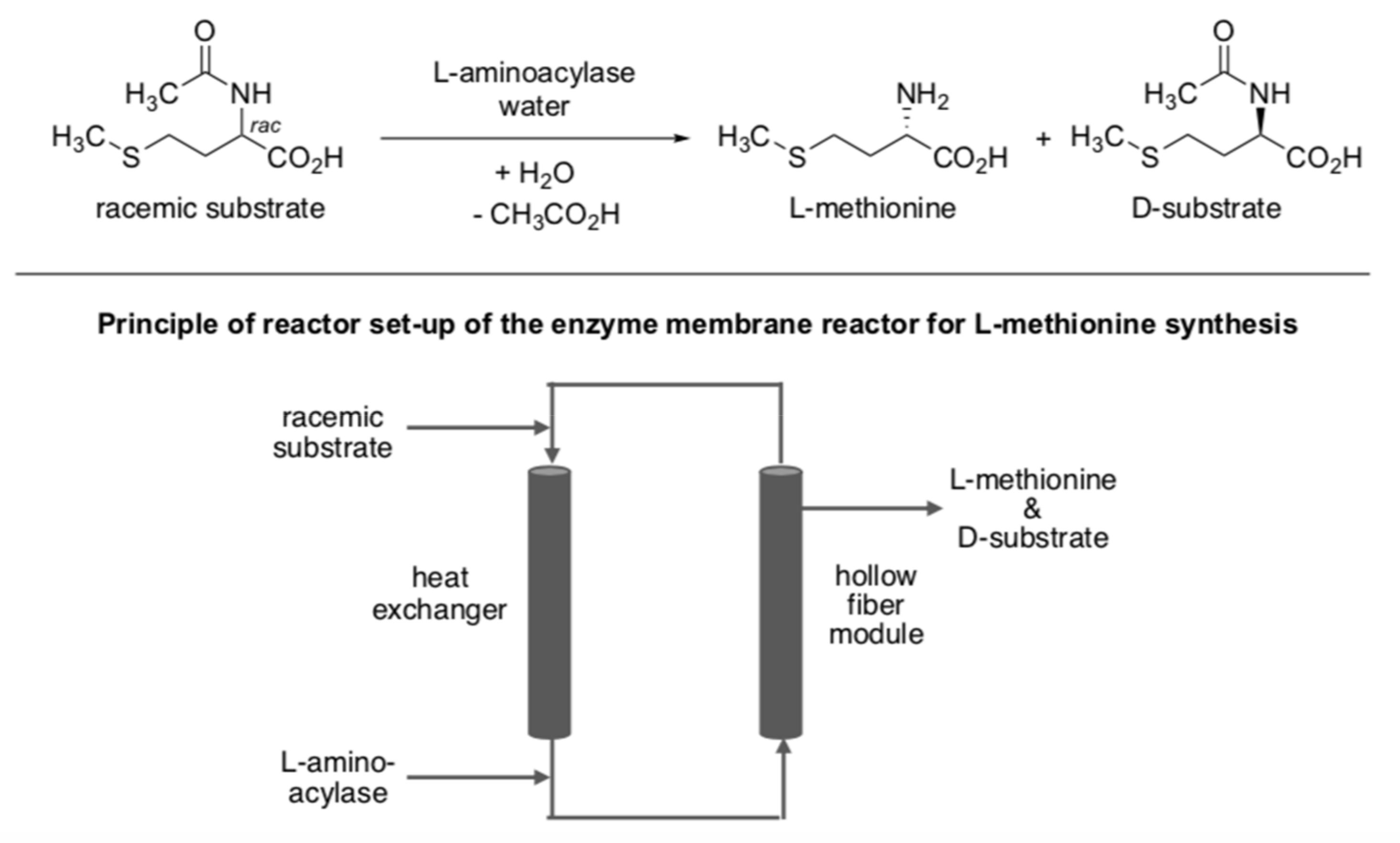 Ijms 22 00990 sch003 Ijms 22 00990 sch003