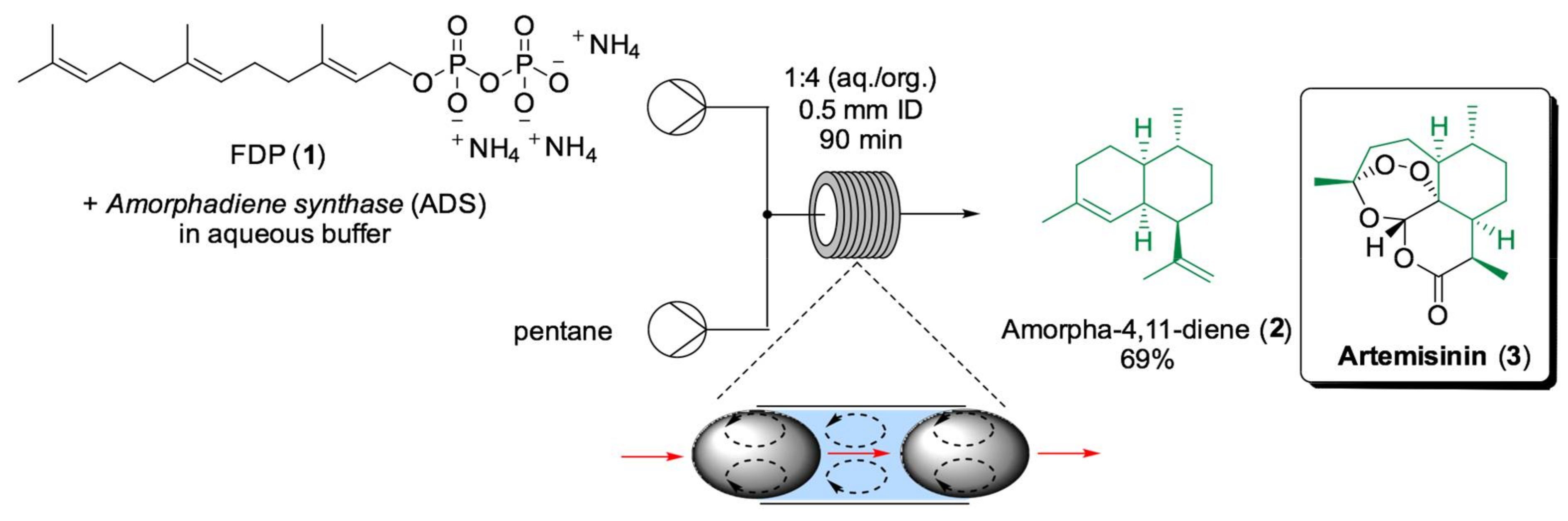 Ijms 22 00990 sch004 Ijms 22 00990 sch004