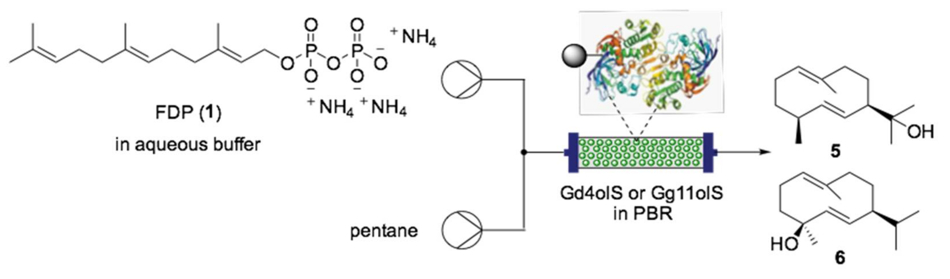 Ijms 22 00990 sch006 Ijms 22 00990 sch006