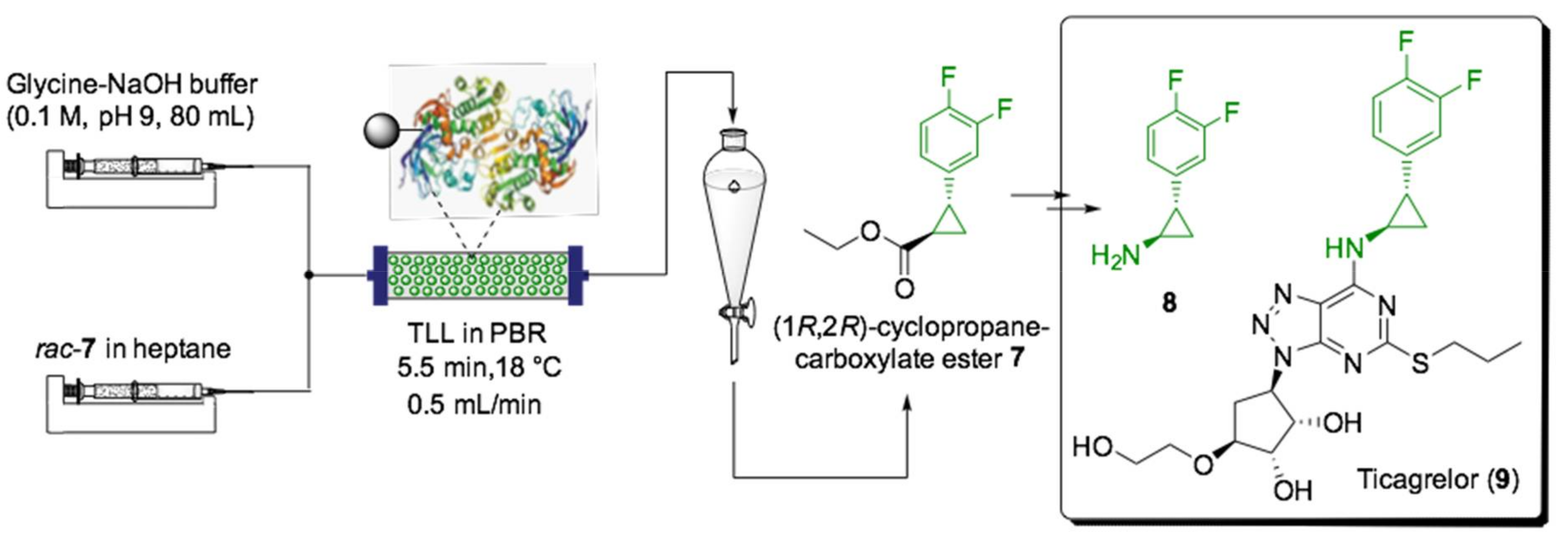 Ijms 22 00990 sch007 Ijms 22 00990 sch007