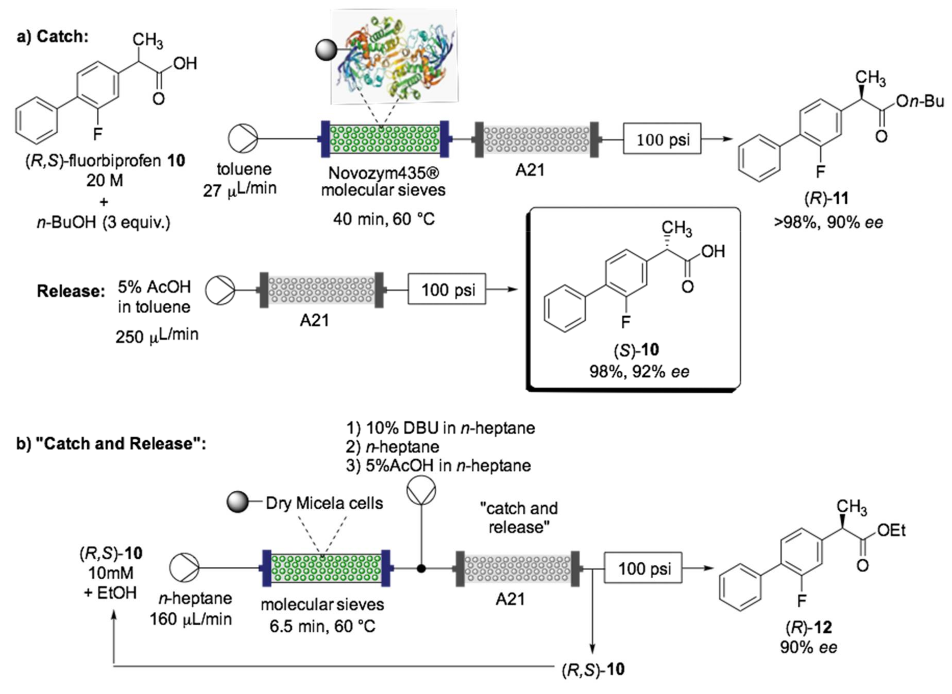 Ijms 22 00990 sch008 Ijms 22 00990 sch008